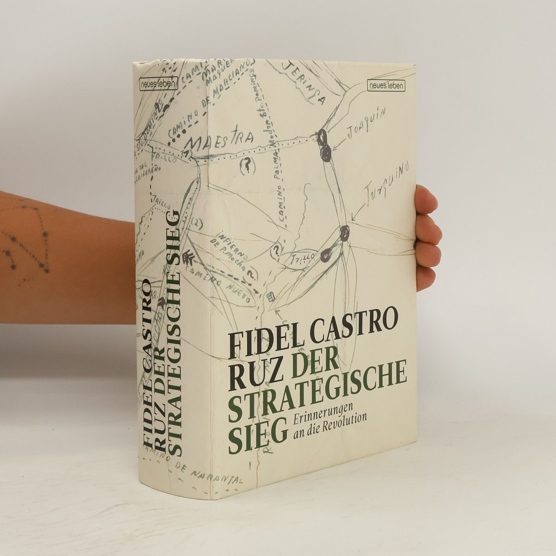 Fidel Castro Der strategische Sieg