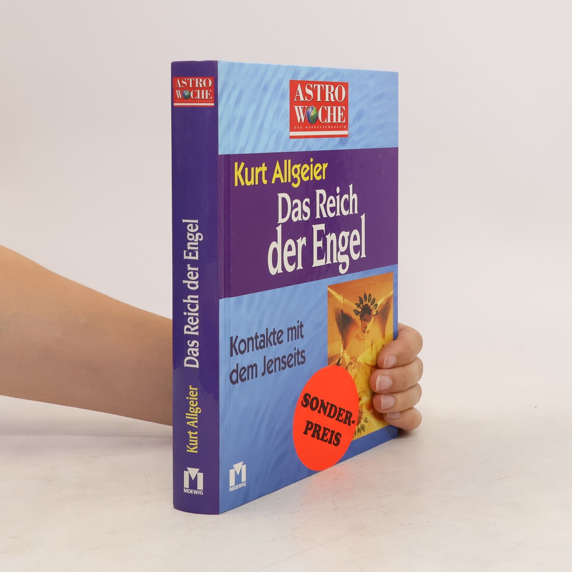 Kurt Allgeier Das Reich der Engel
