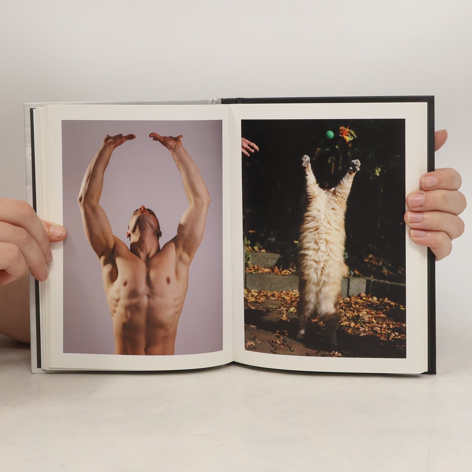 Marie-Eva Gatuingt Men and Cats