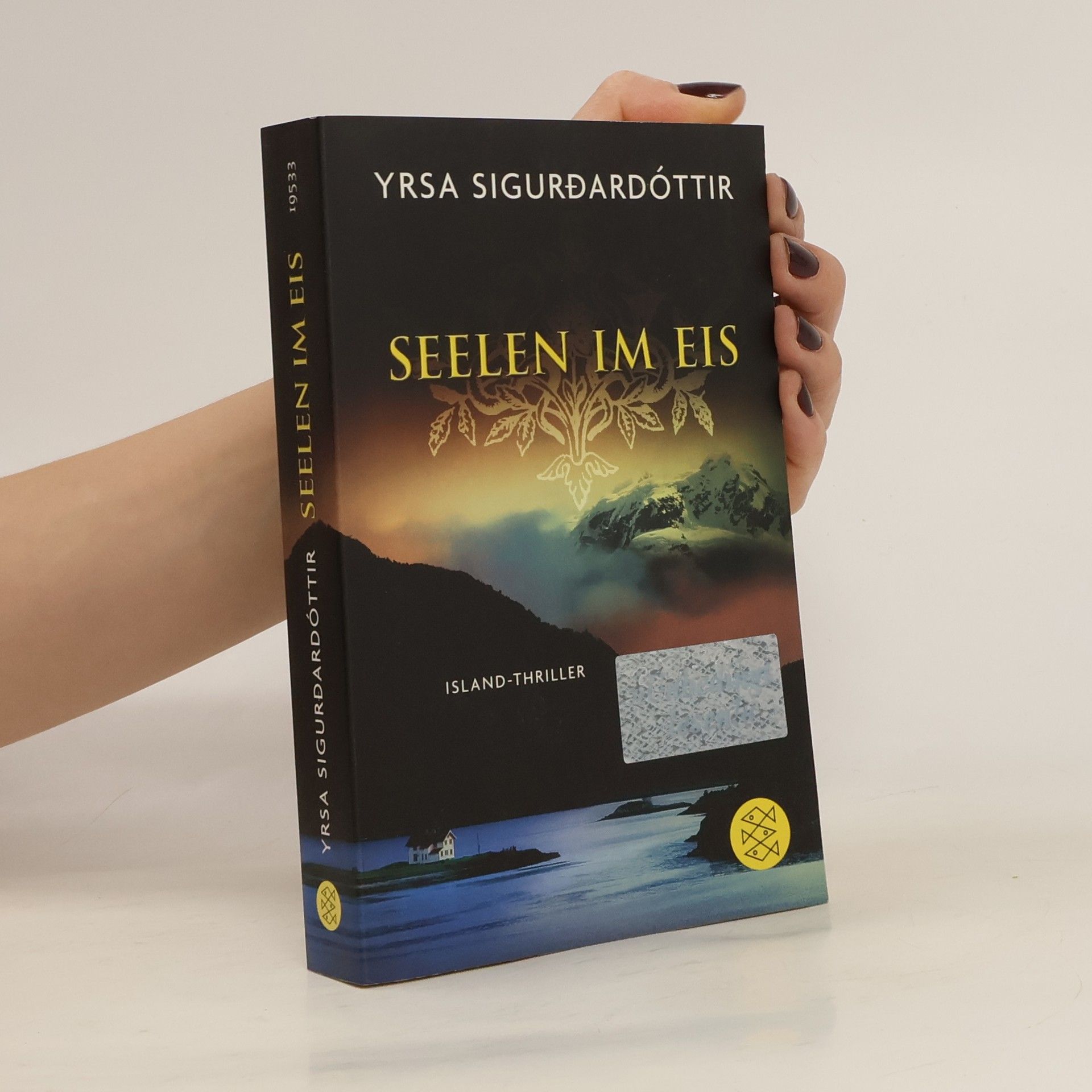 Yrsa Sigurðardóttir Seelen im Eis