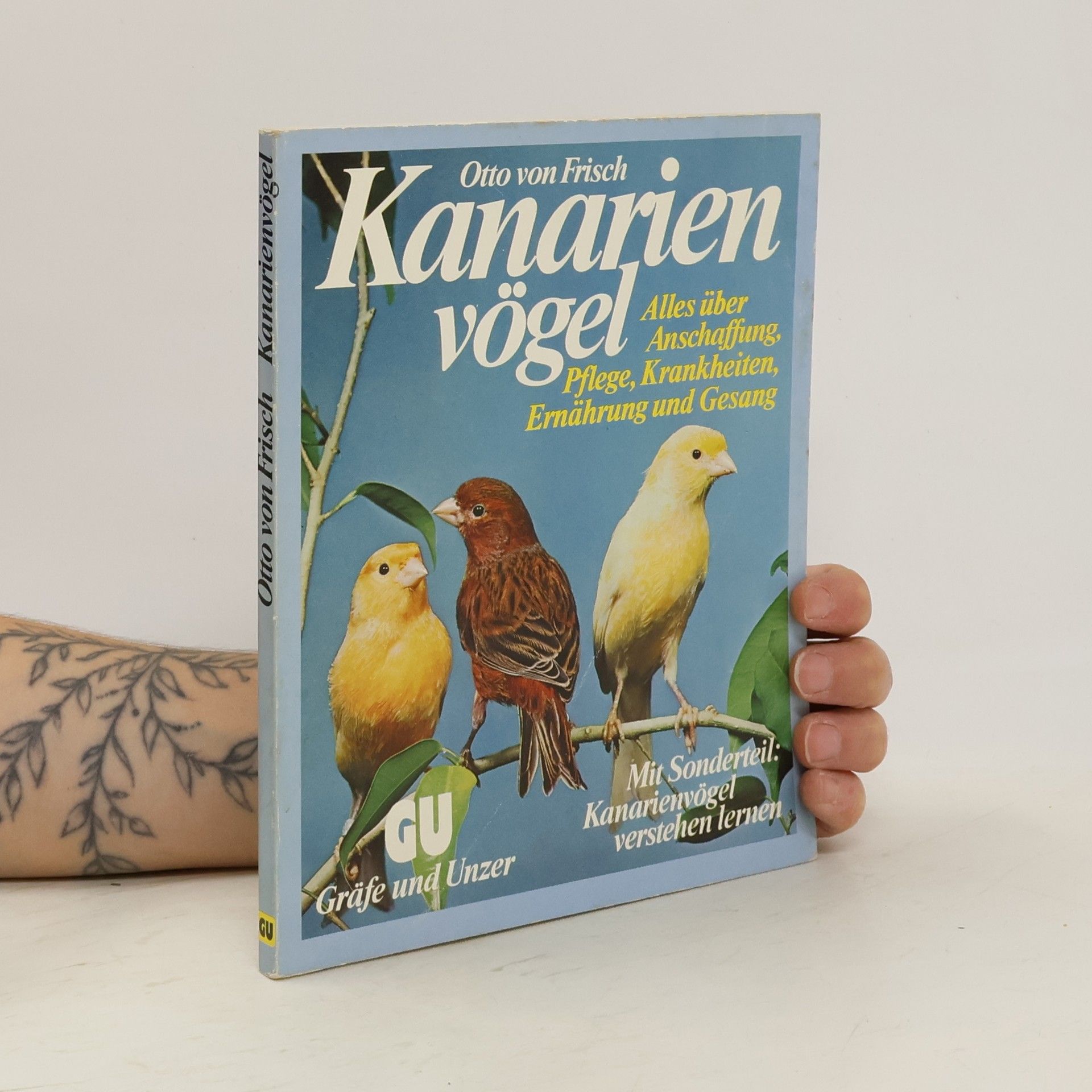 Otto von Frisch Kanarien vögel