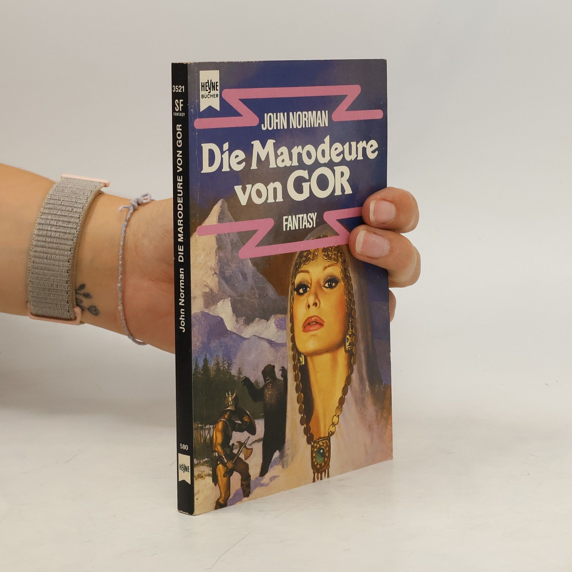 John Norman Die Marodeure von Gor