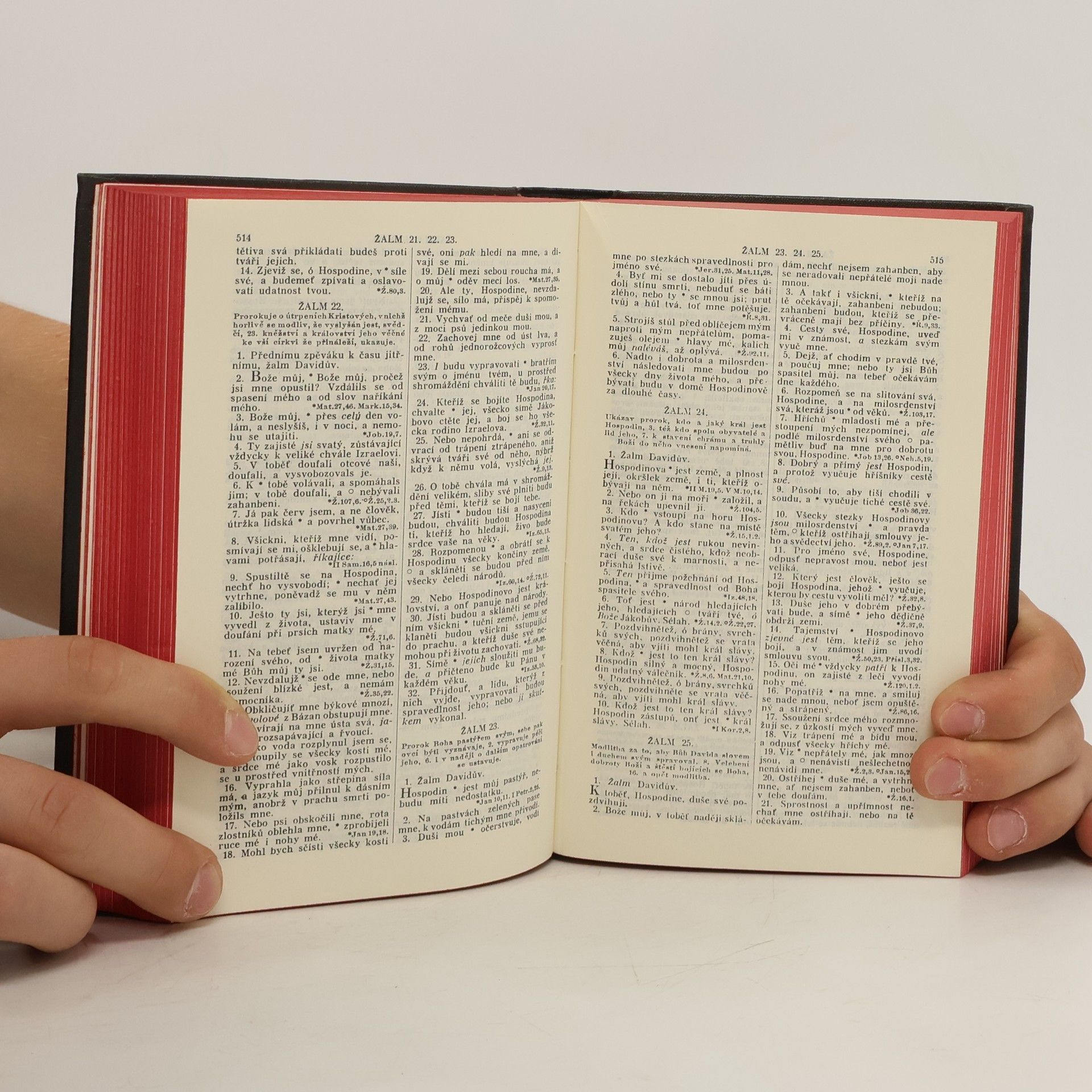 Kolektiv autorů Biblí svatá aneb Všecka svatá písma Starého i Nového zákona