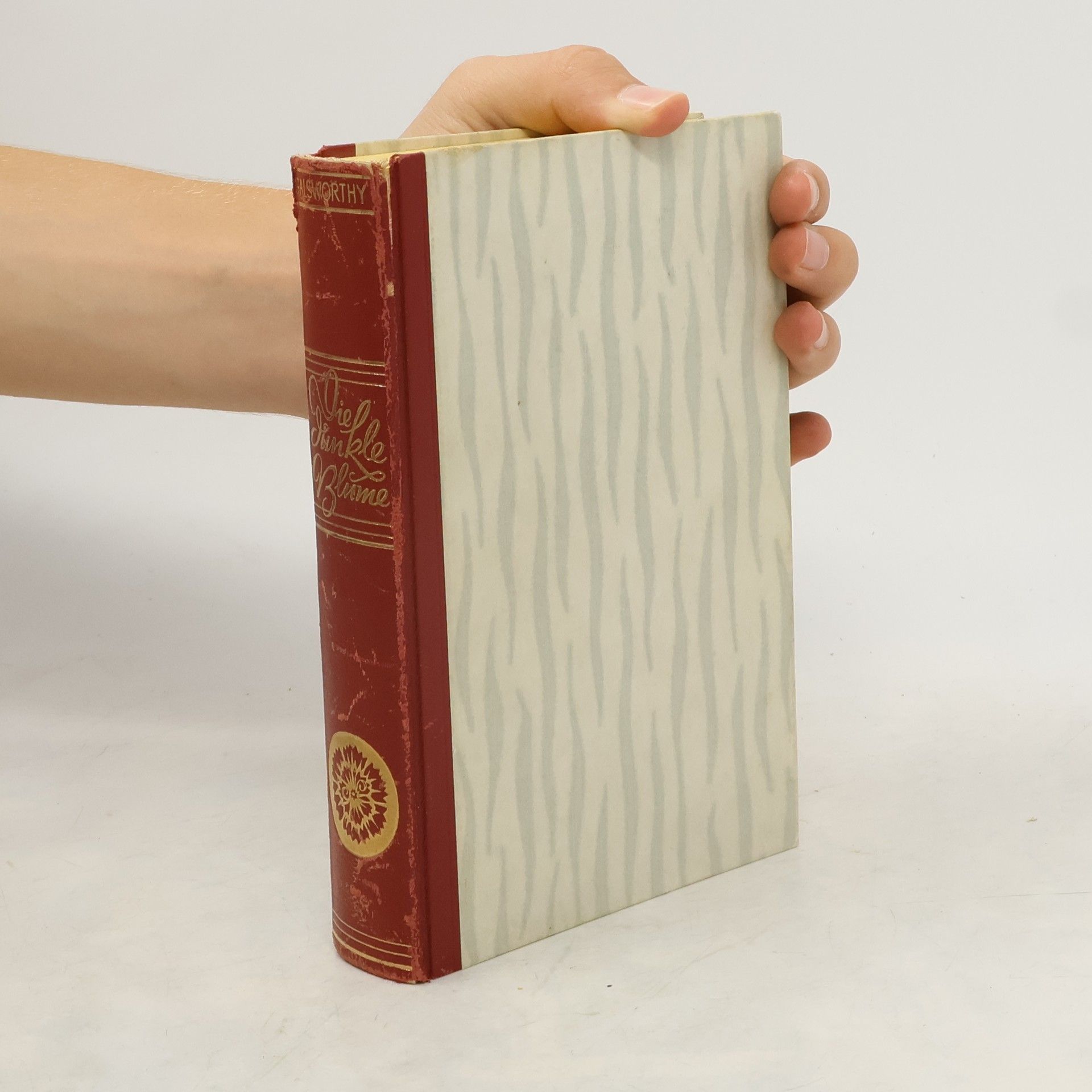 John Galsworthy Die Dunkle Blume