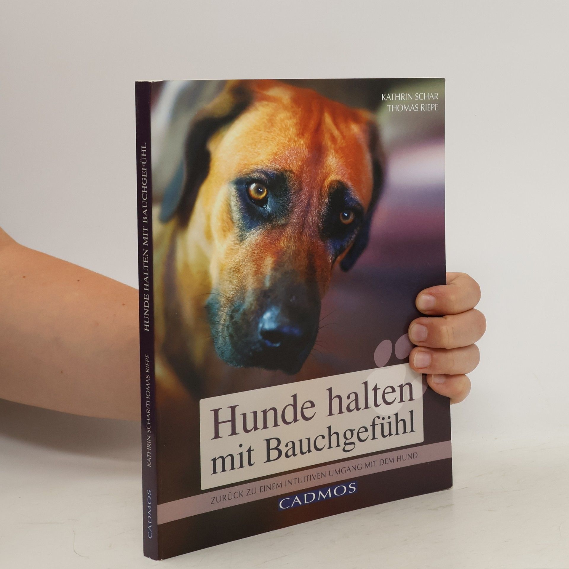 Kathrin Schar Hunde halten mit Bauchgefühl