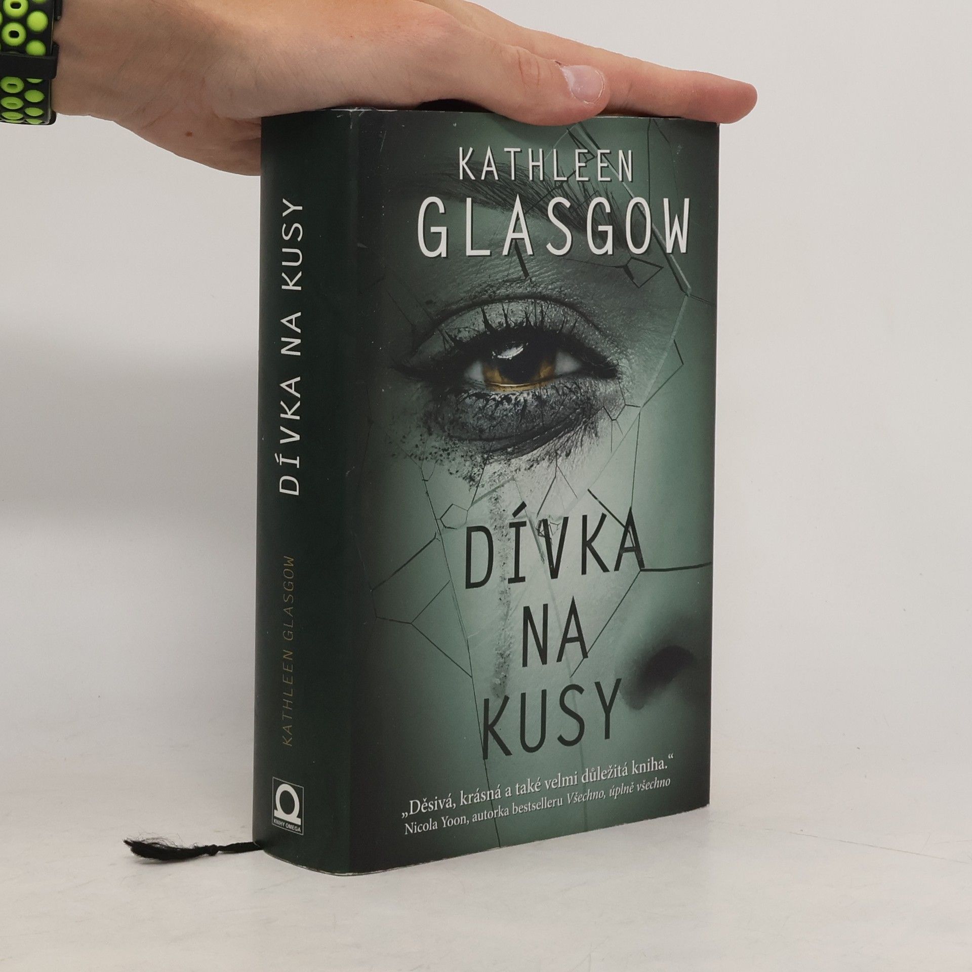 Kathleen Glasgow Dívka na kusy