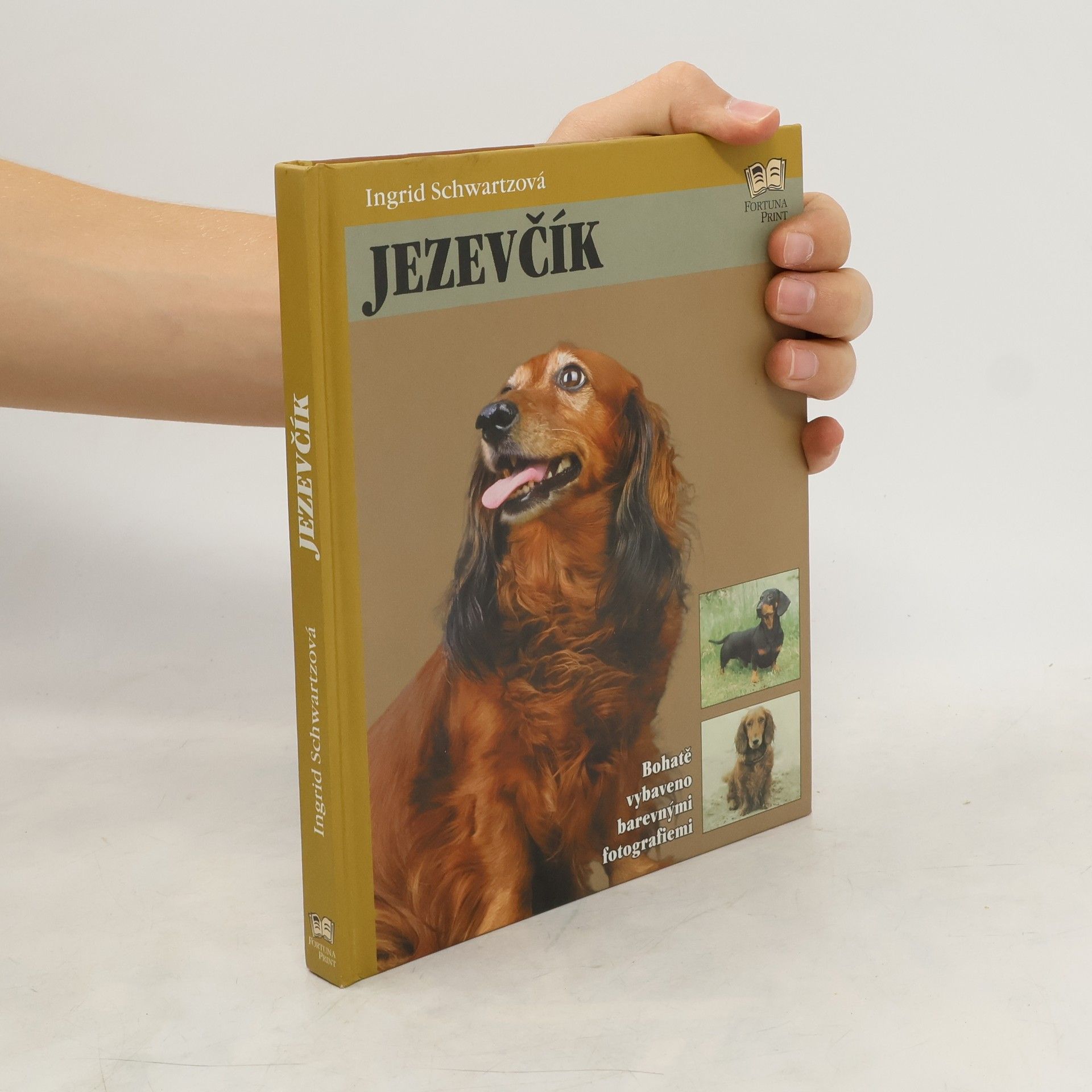 Ingrid Schwartz Jezevčík