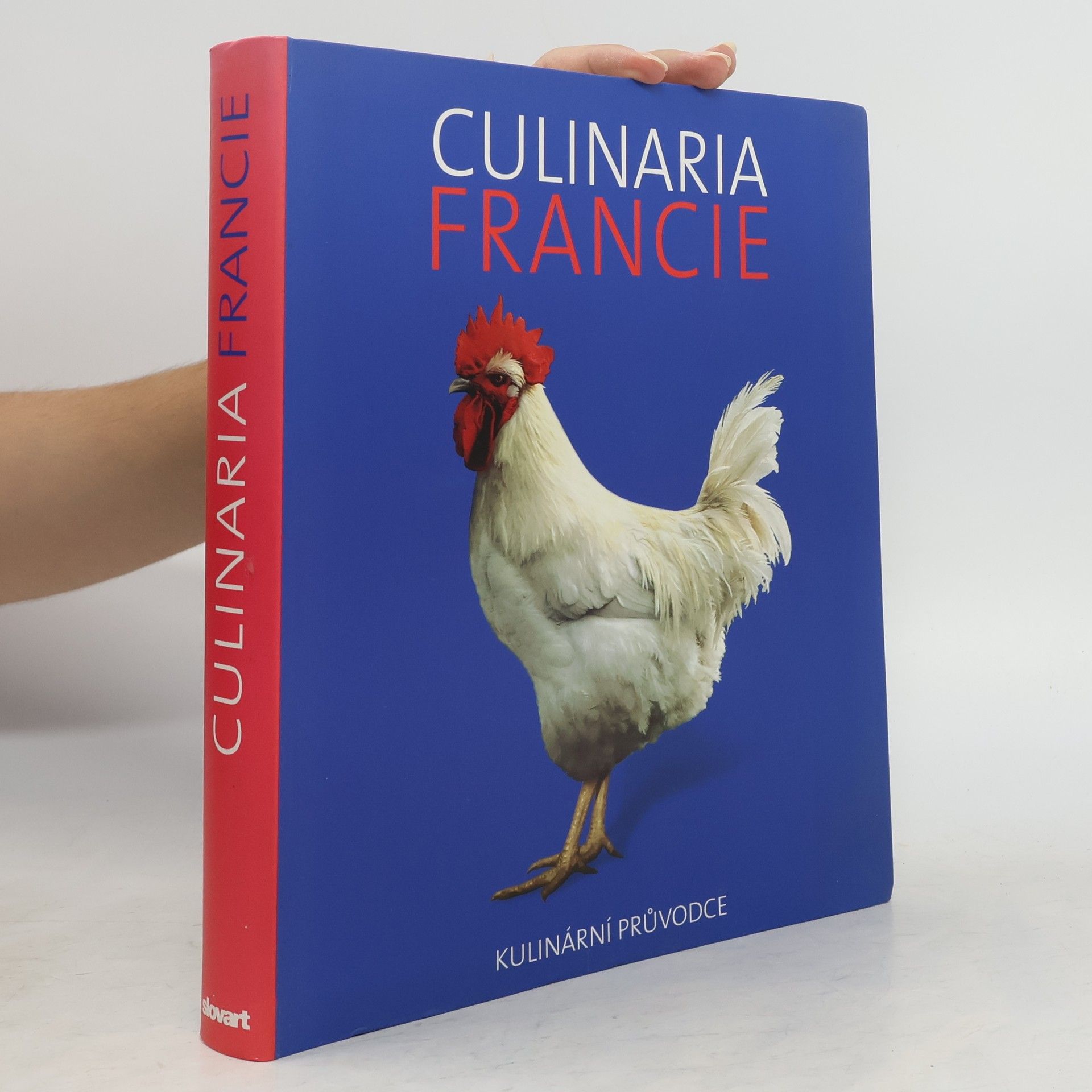 André Dominé Culinaria Francie