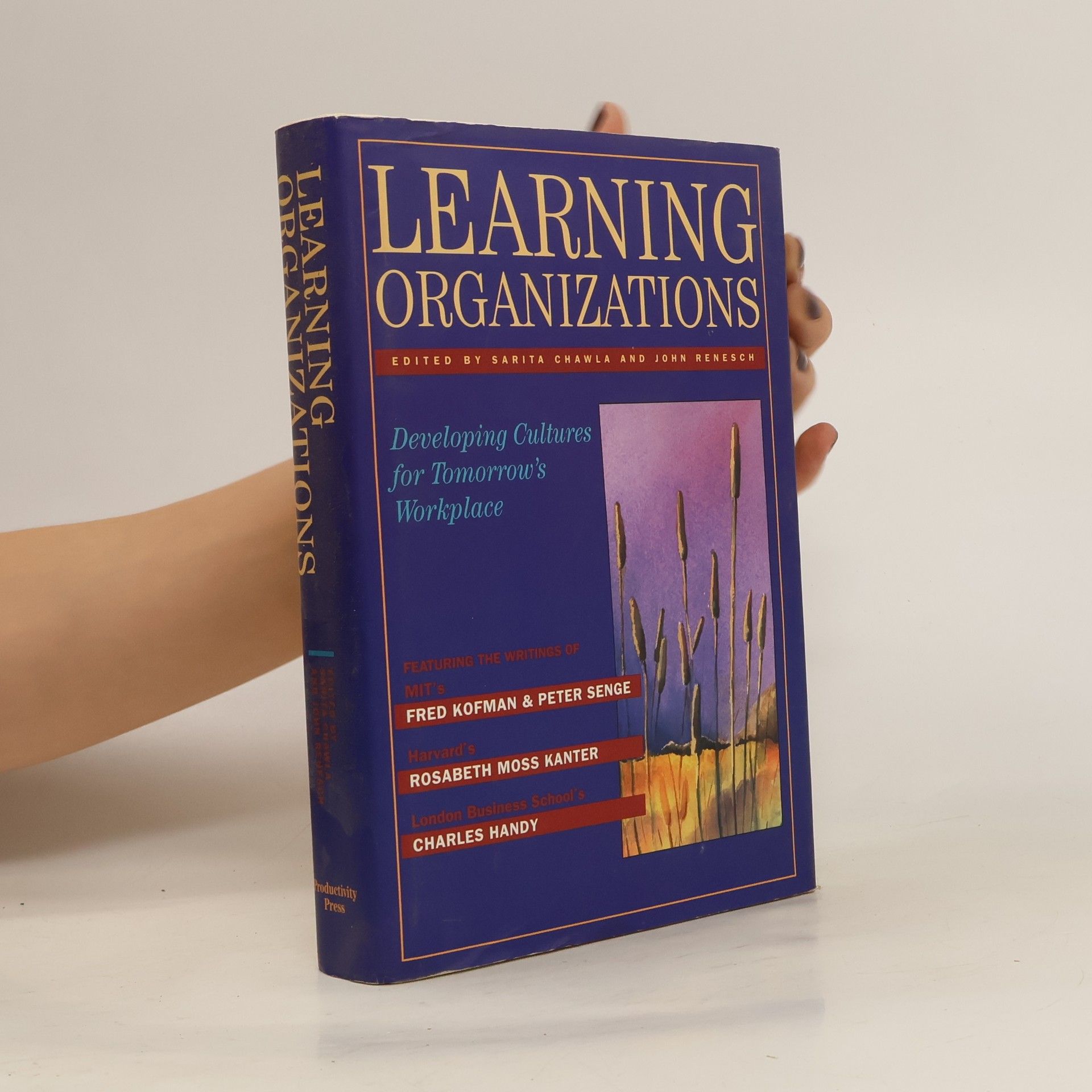 Sarita Chawla Learning Organizations