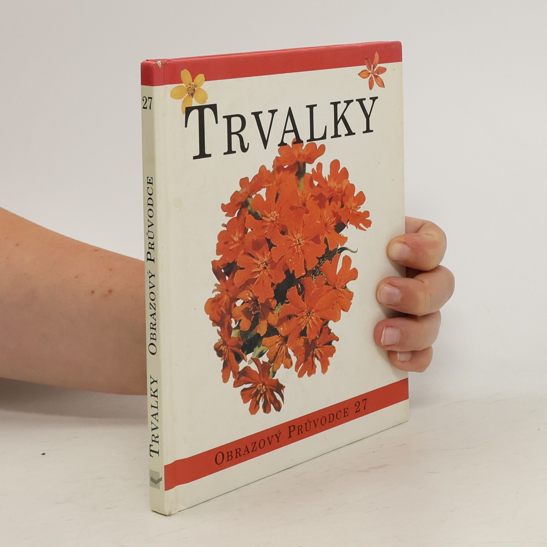 Petra Narandžičová Trvalky