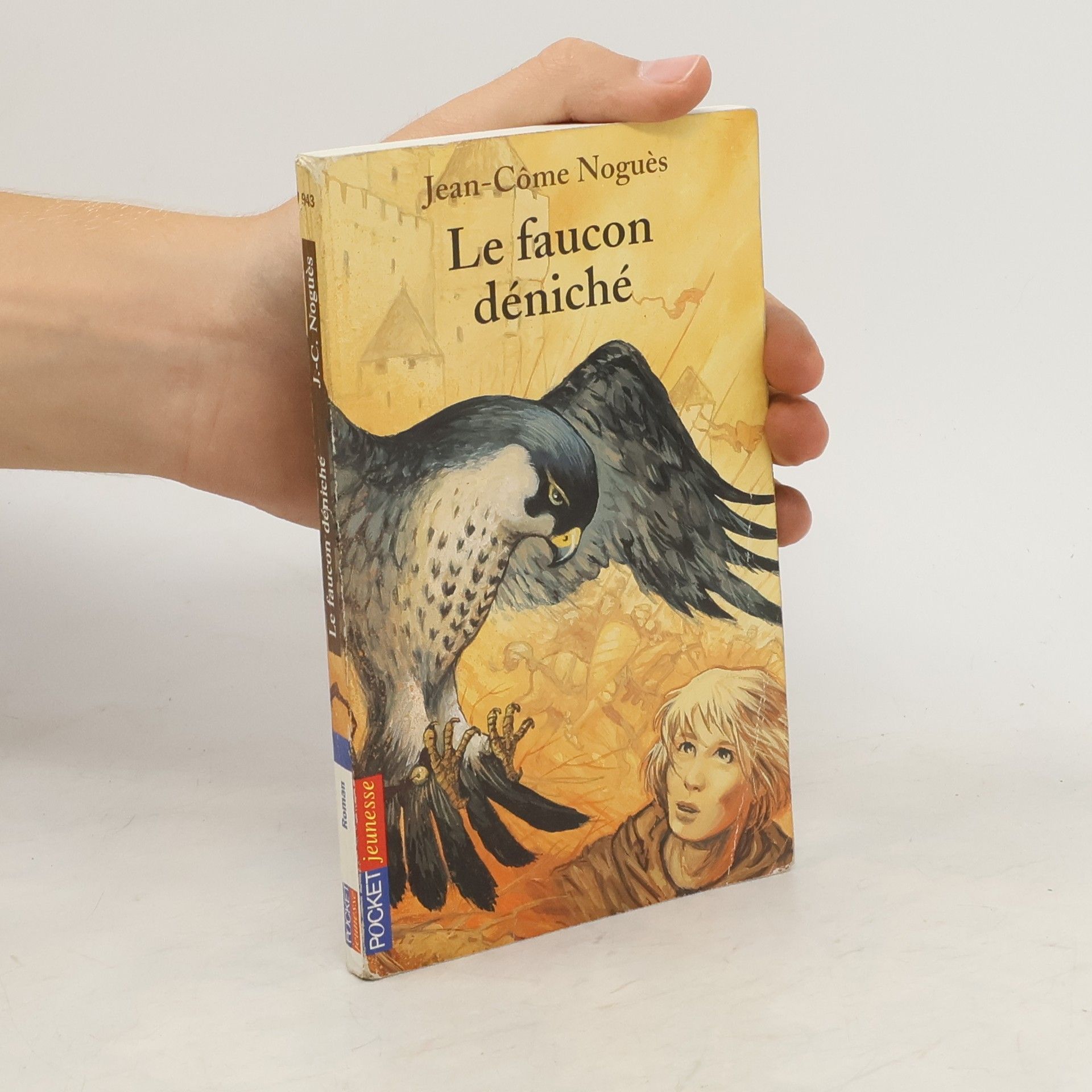 Jean-Come Nogues Le faucon déniché