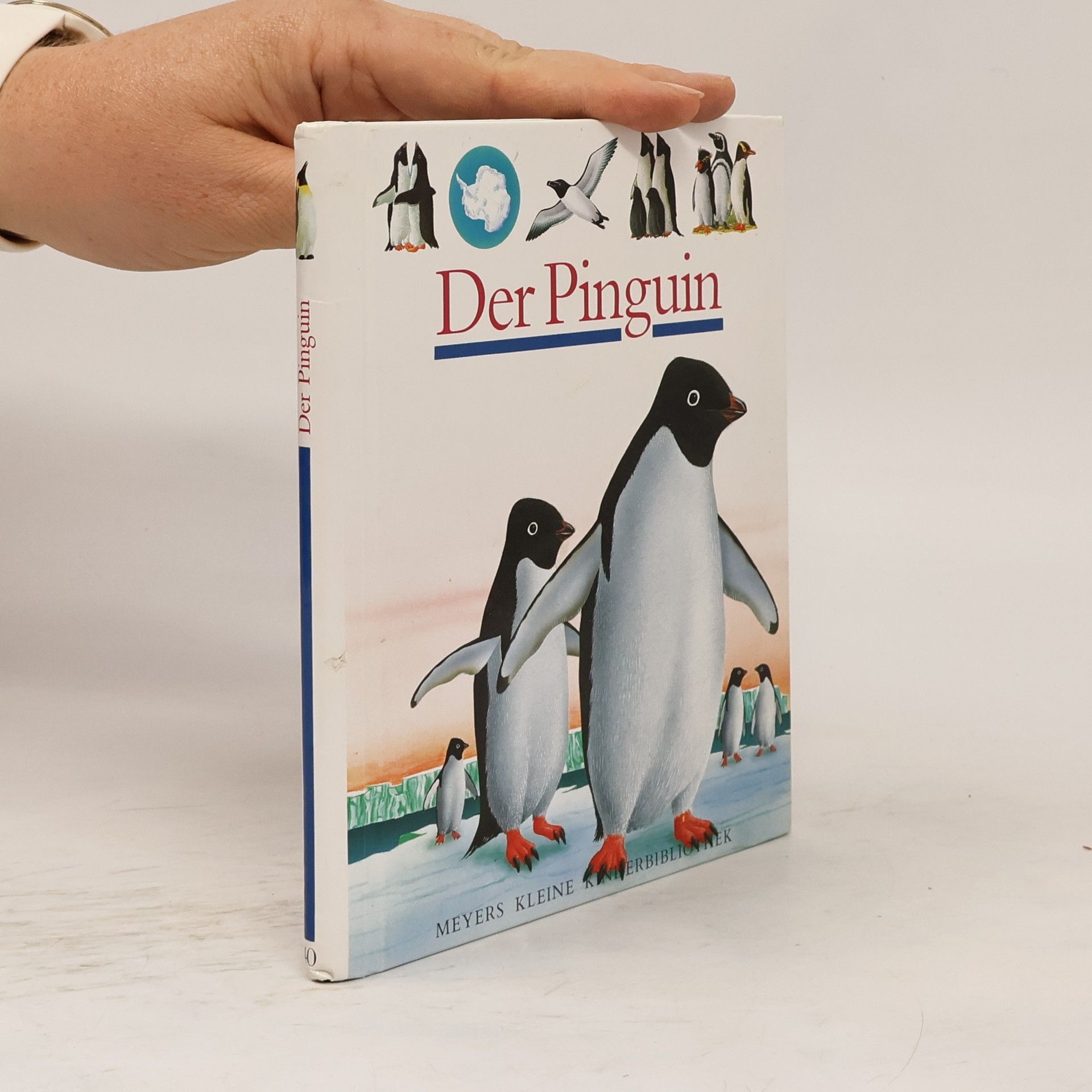 Rene Mettler Der Pinguin