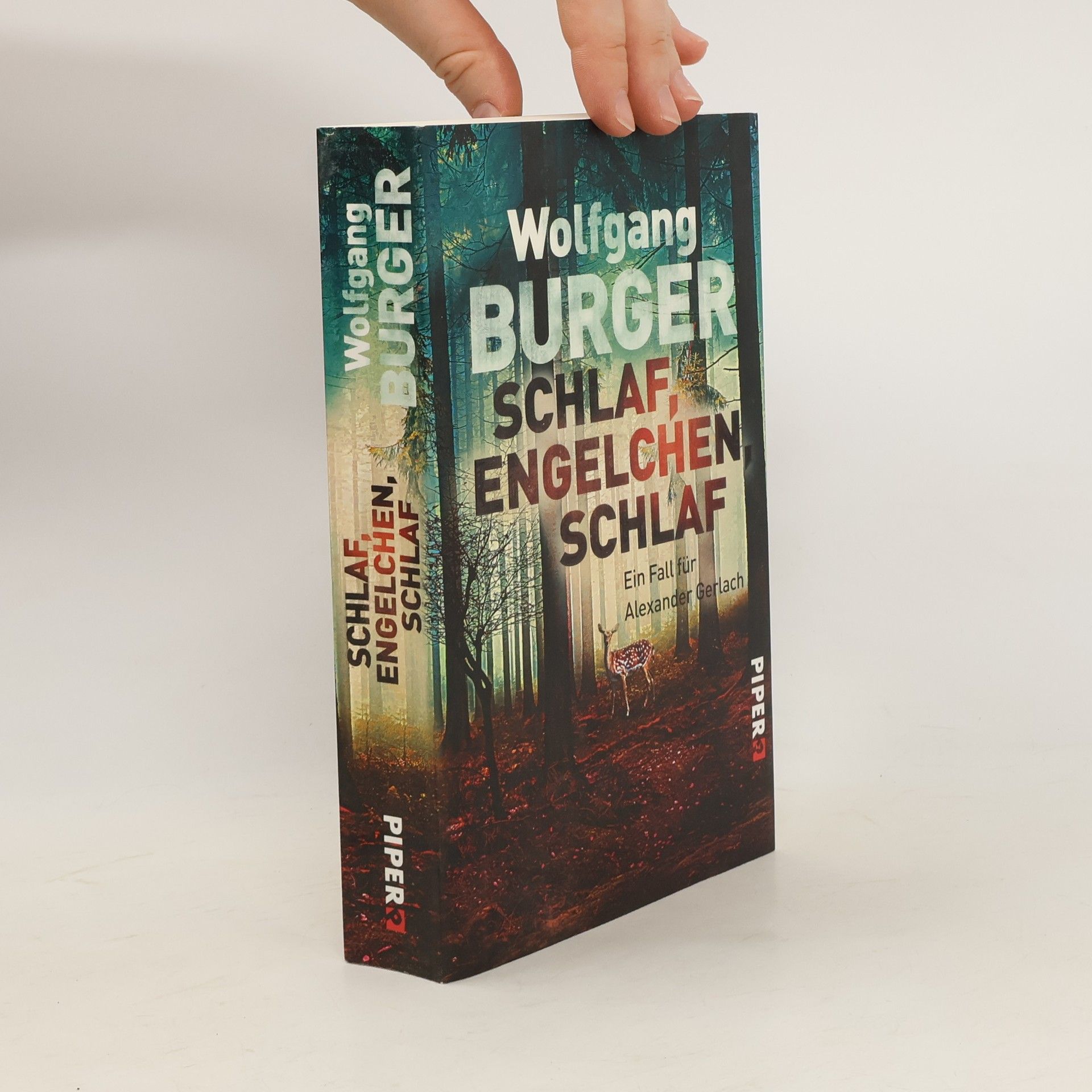 Wolfgang Burger Schlaf, Engelchen, schlaf