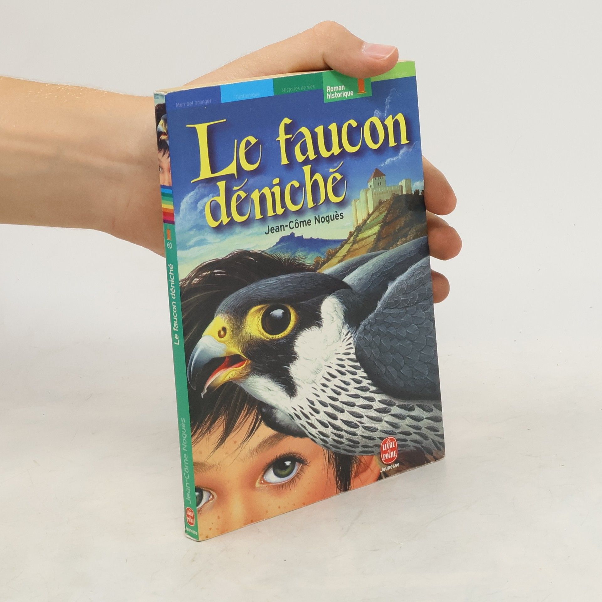 Jean-Come Nogues Le faucon déniché