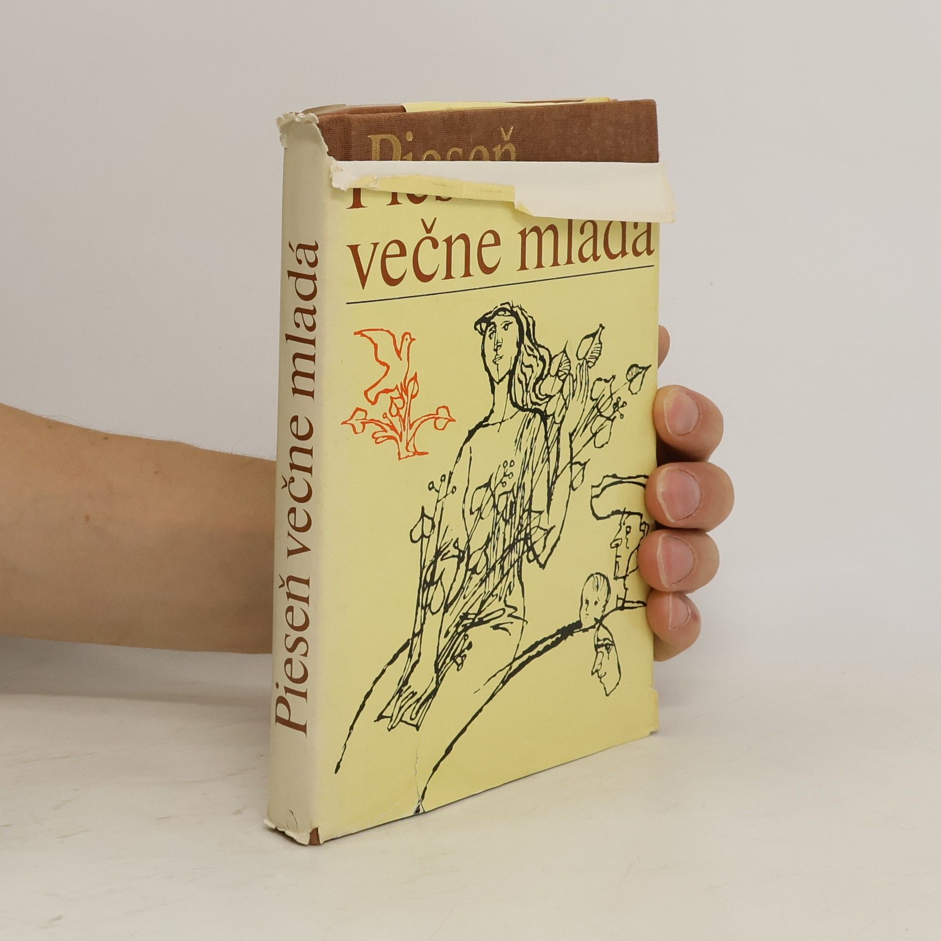 Collectif d'auteurs Pieseň večne mladá