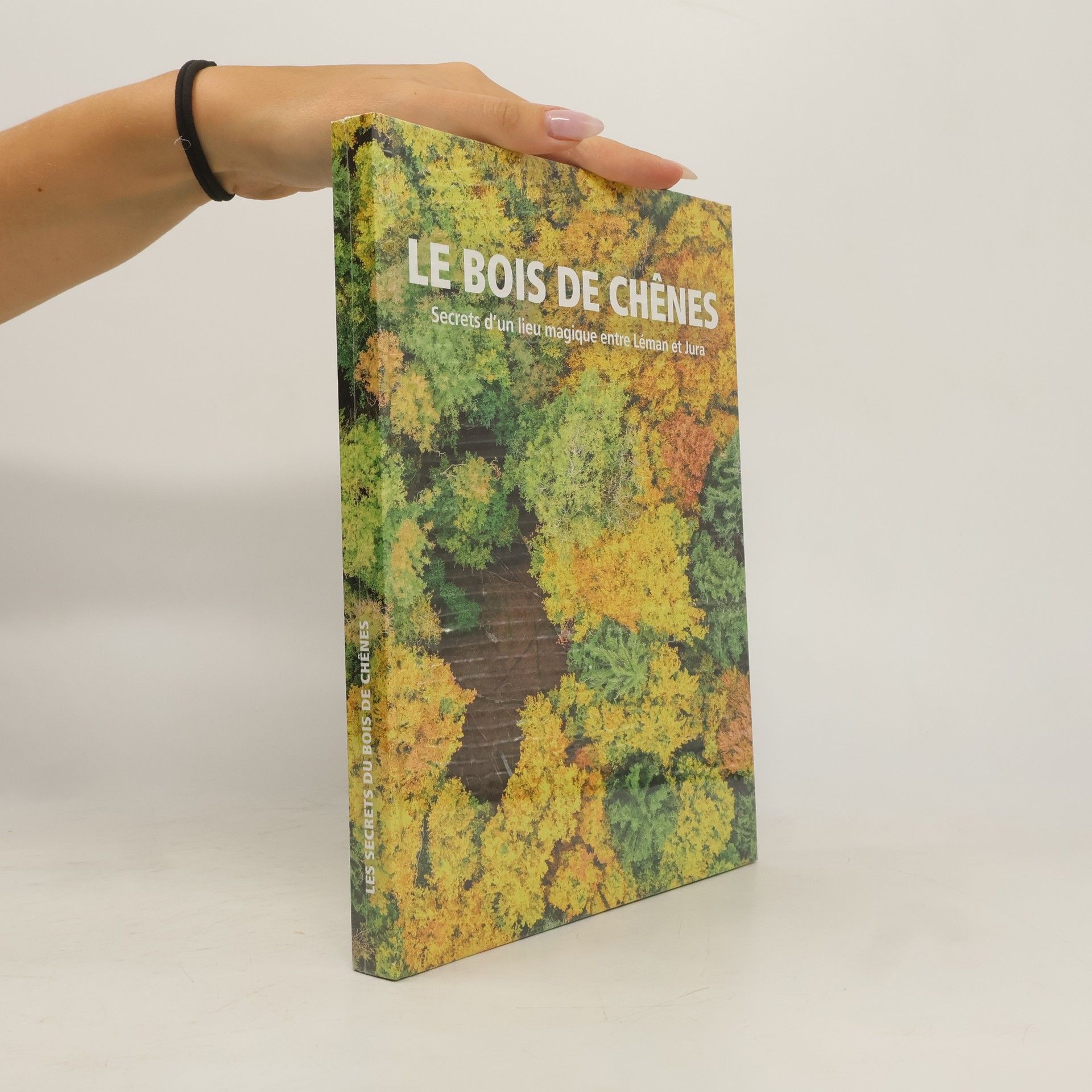 Bernard Messerli Le Bois de Chênes