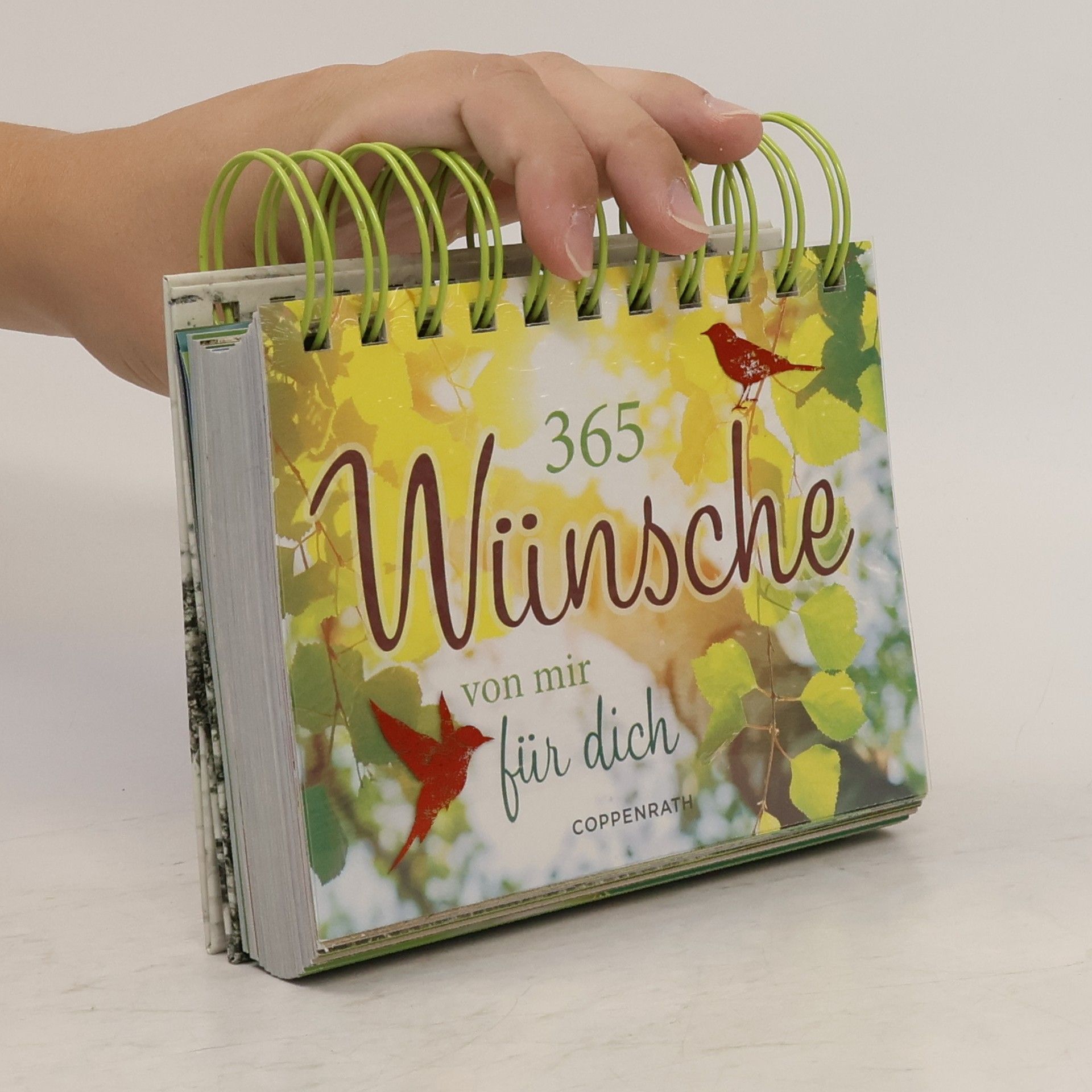 Susanne Koheil 365 Wünsche von mir für dich
