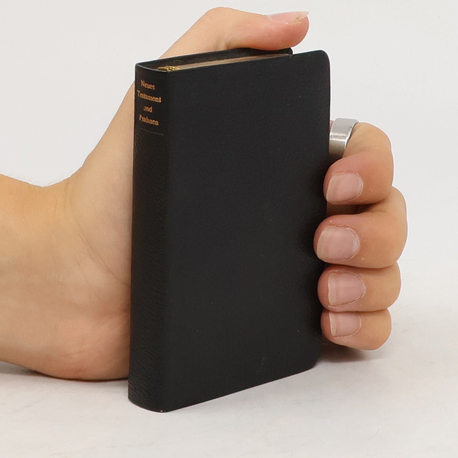 Autorenkollektiv Neues Testament und Psalmen