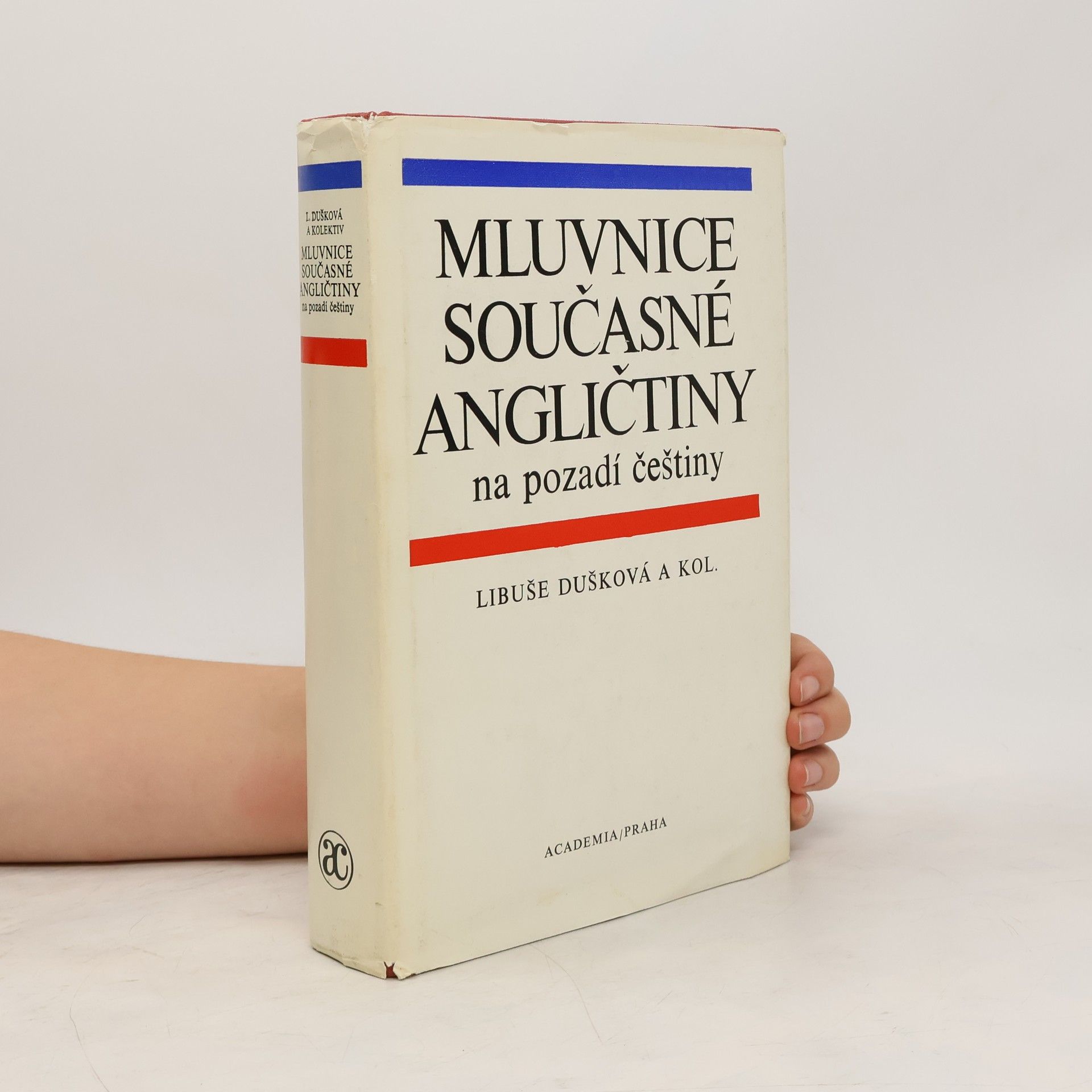 Mluvnice současné angličtiny na pozadí češtiny