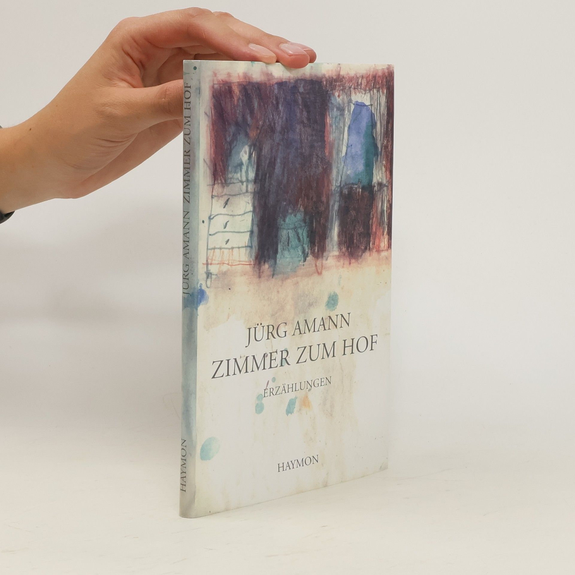 Jürg Amann Zimmer zum Hof