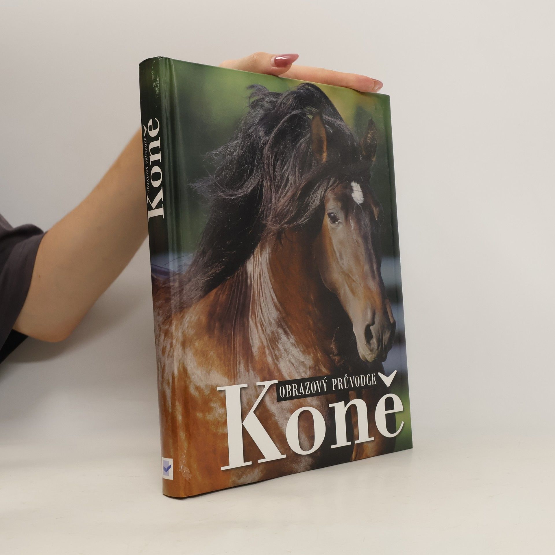 Kolektiv autorů Koně. Obrazový průvodce