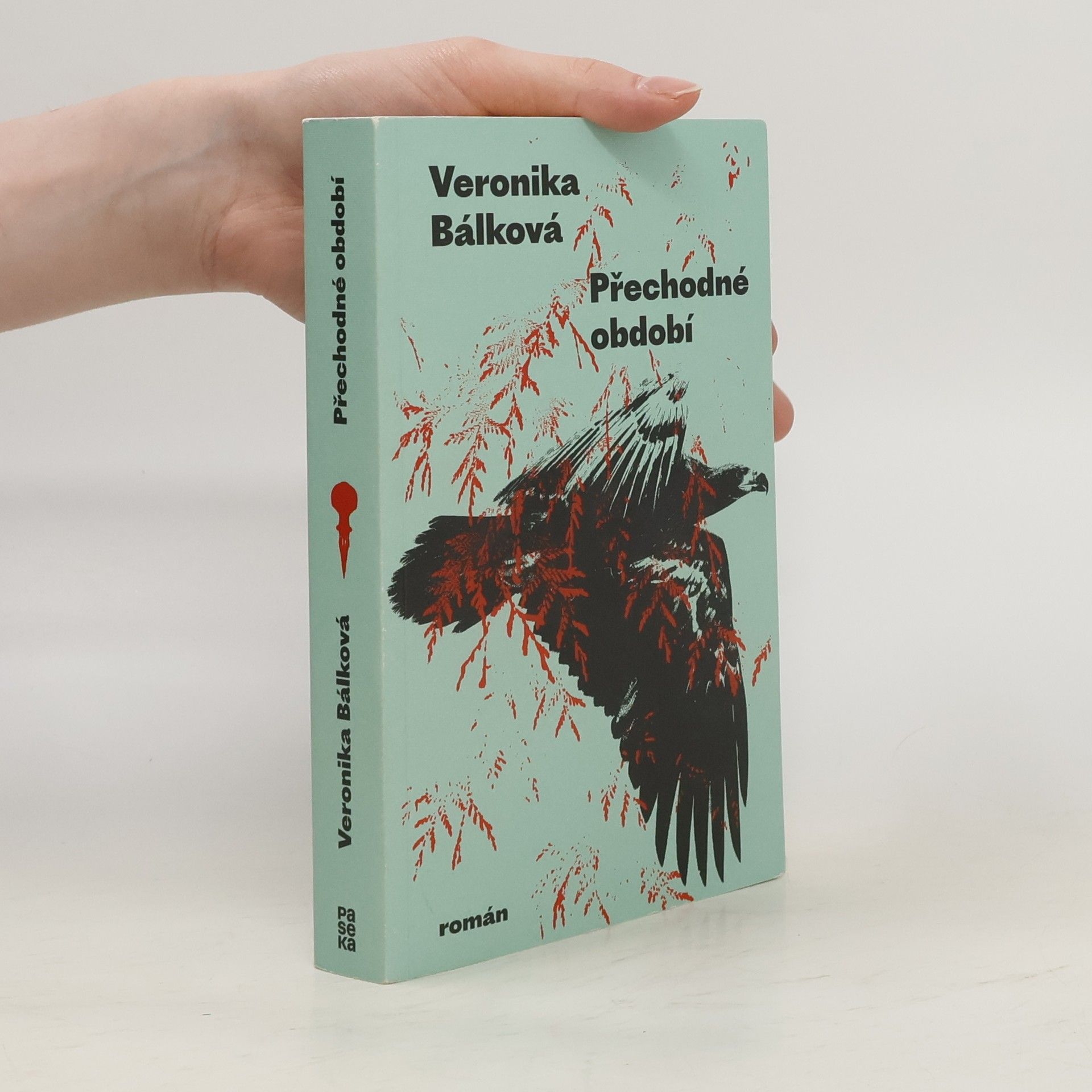 Veronika Bálková Přechodné období