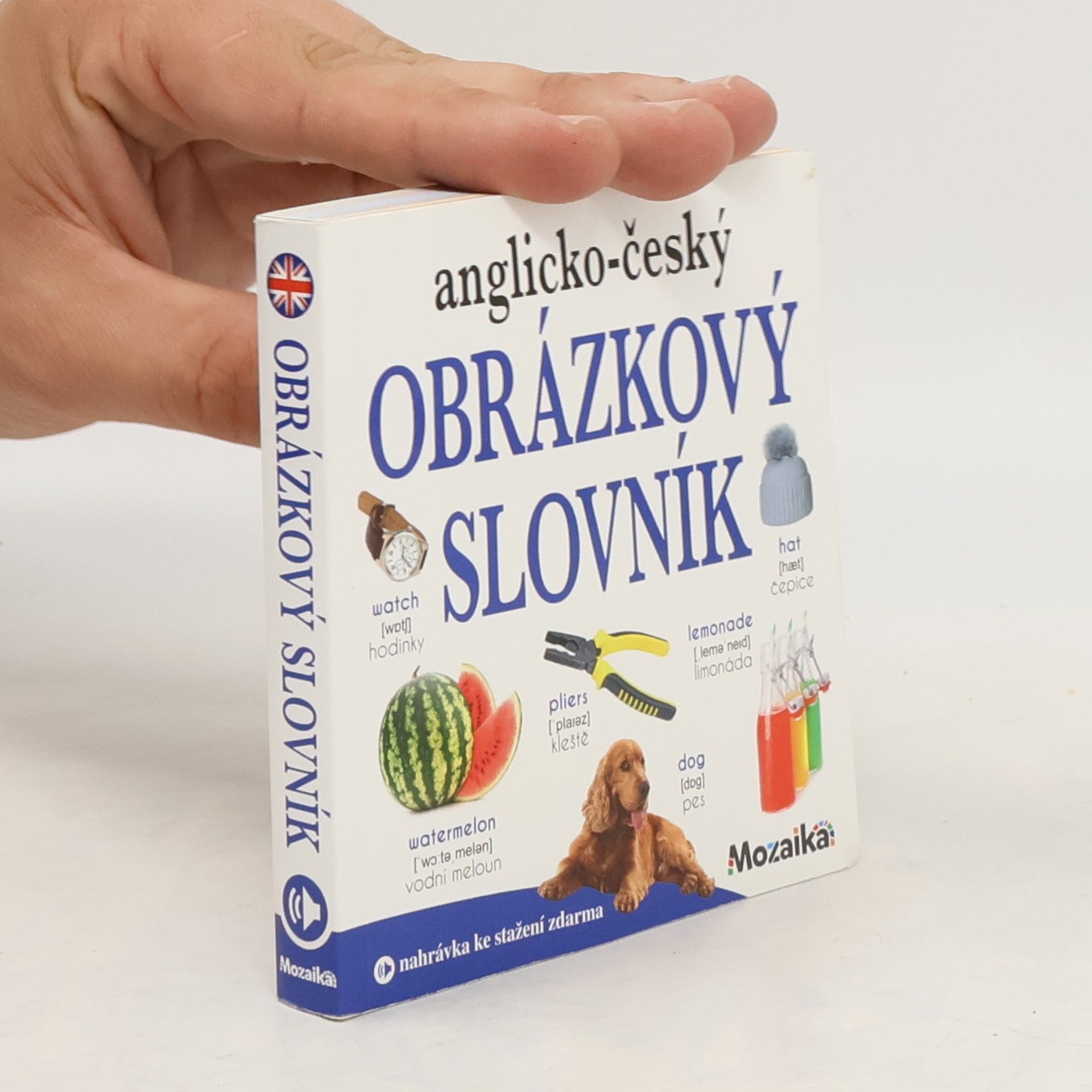 kolektiv Anglicko-český obrázkový slovník Obrázkový slovník