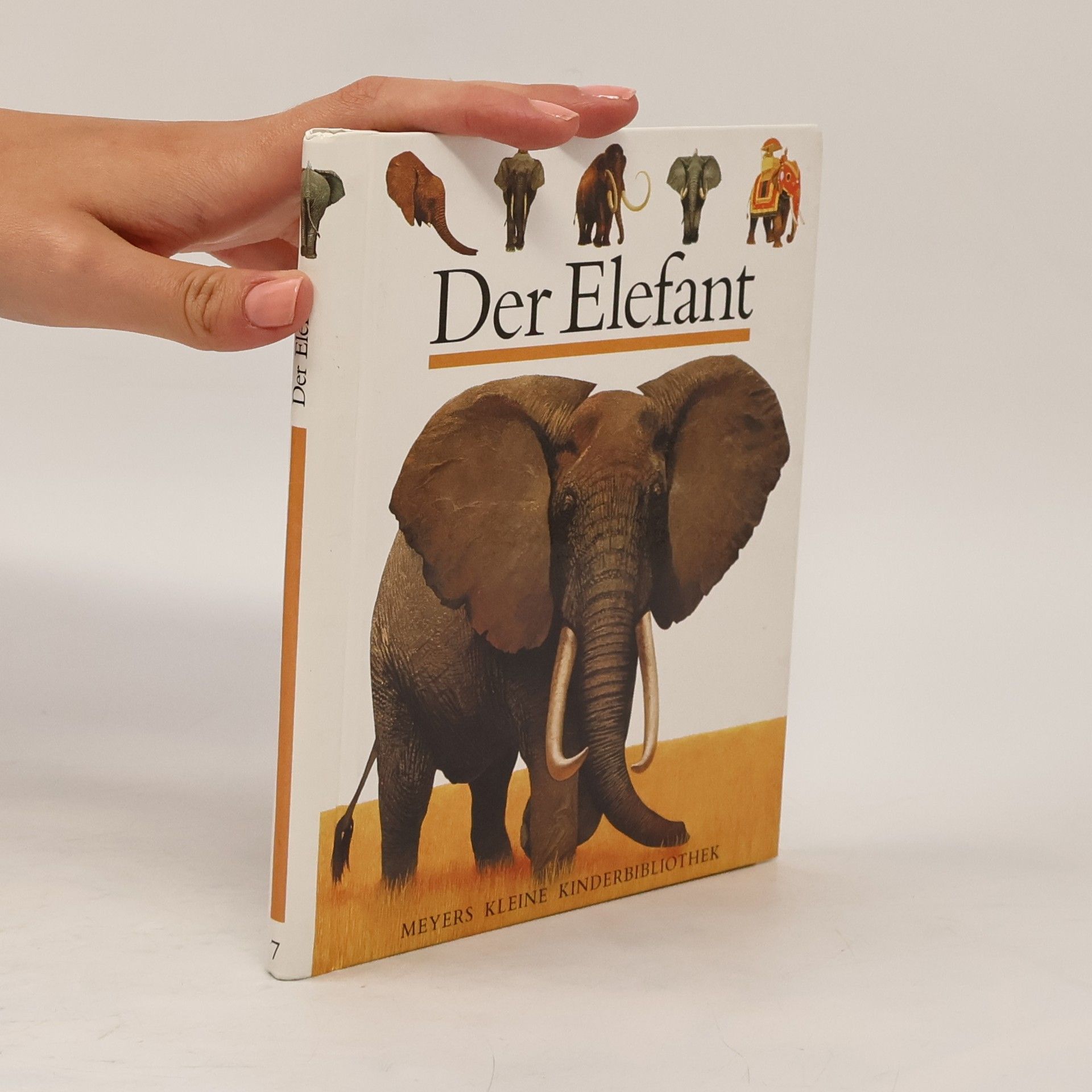 Jame's Prunier Der Elefant