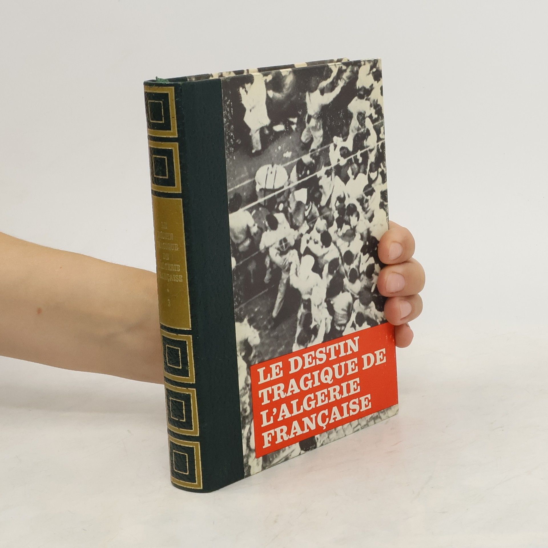 Michal Bernard Le destin tragique de l'algérie française 3
