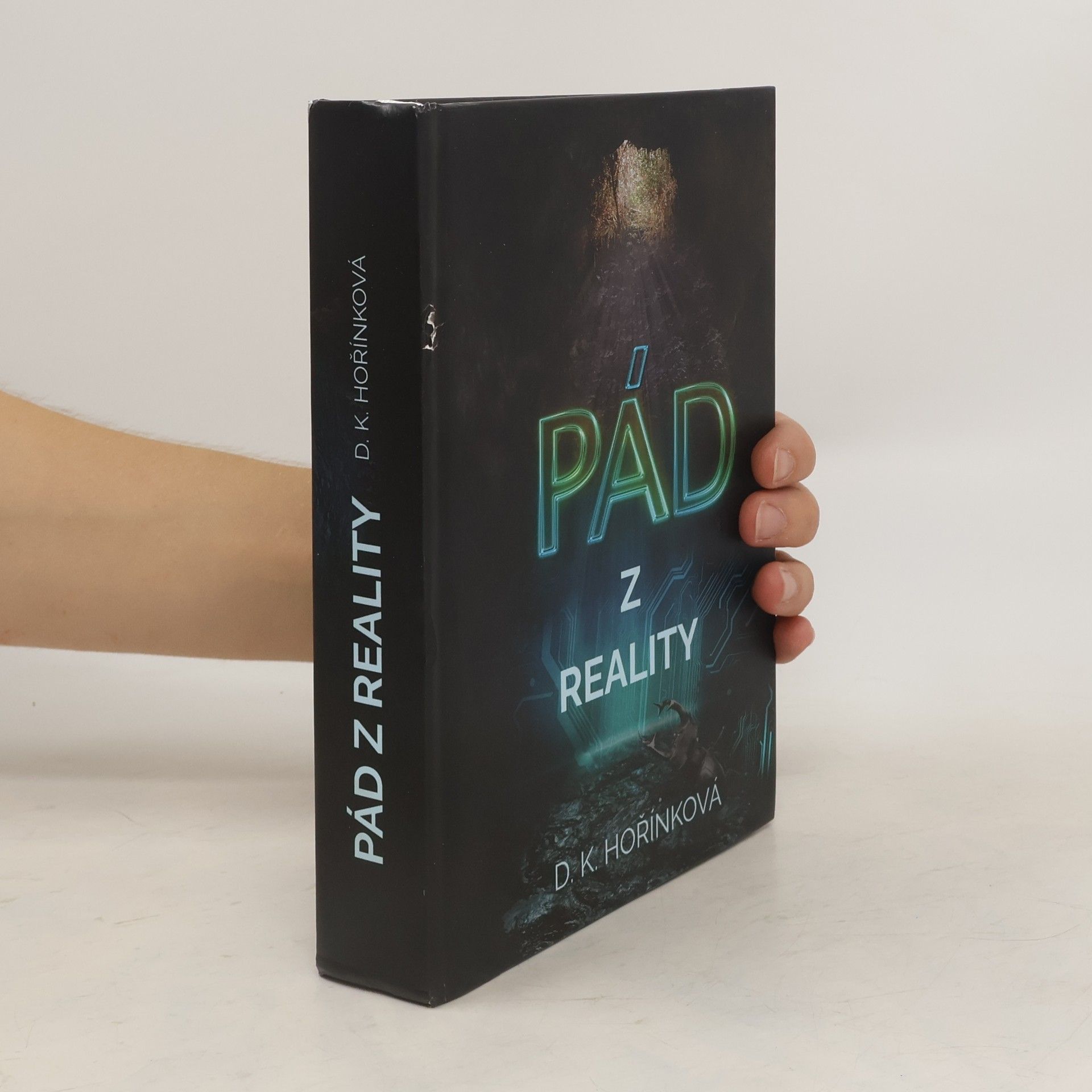 D. K. Hořínková Pád z reality