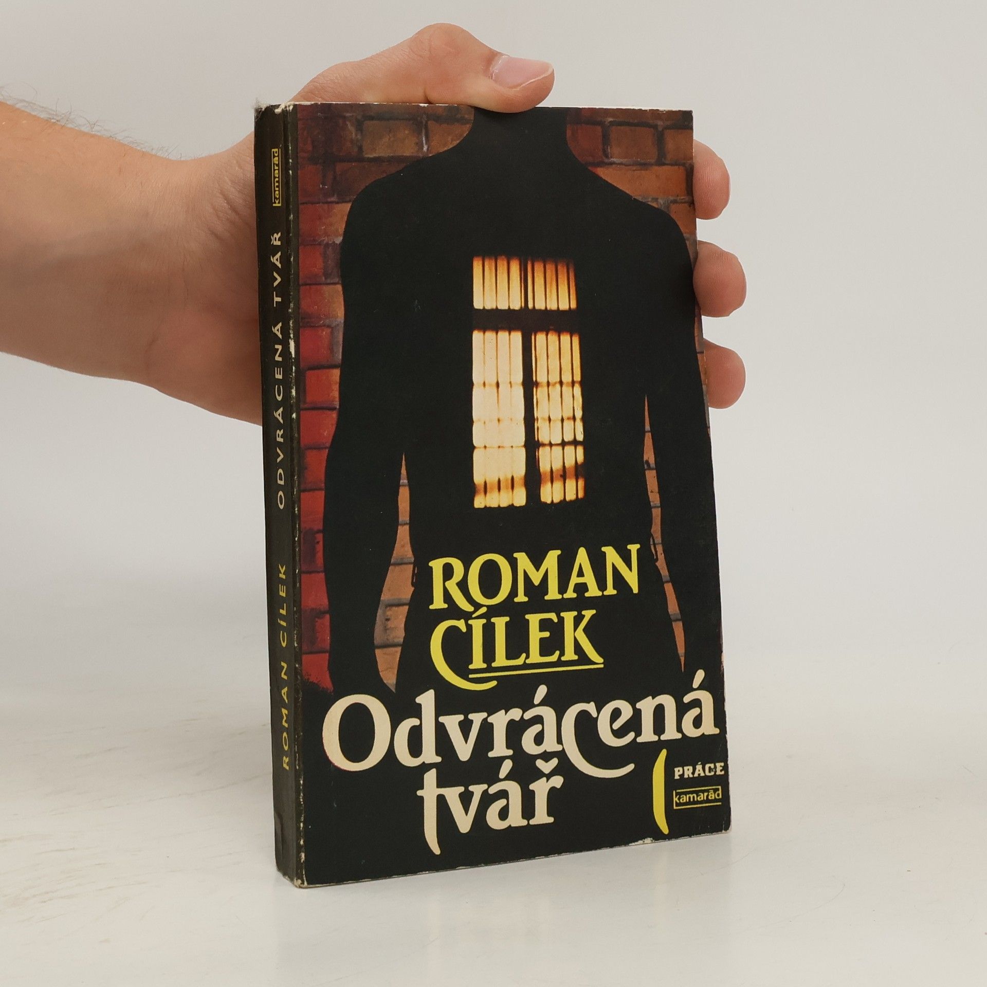 Roman Cílek Odvrácená tvář