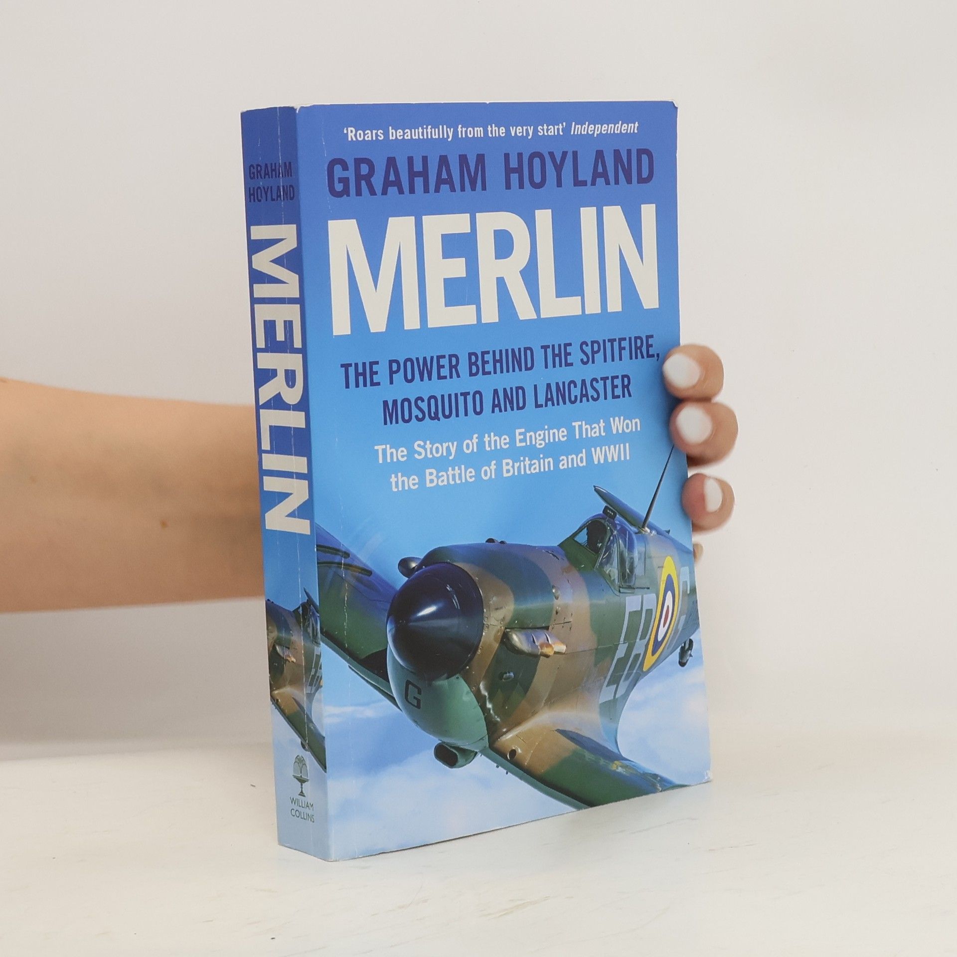 Graham Hoyland Merlin