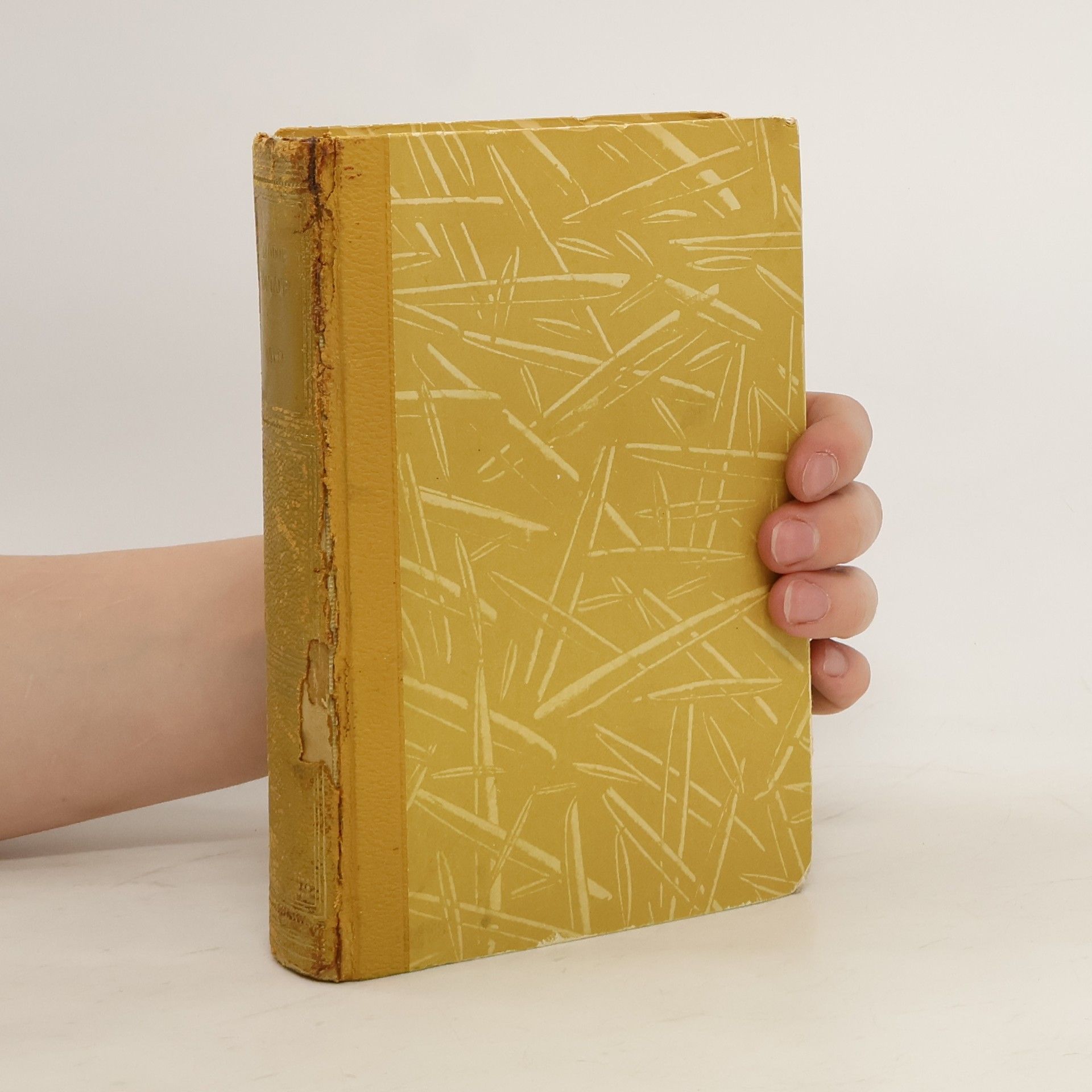 Theodor Fontane Werke