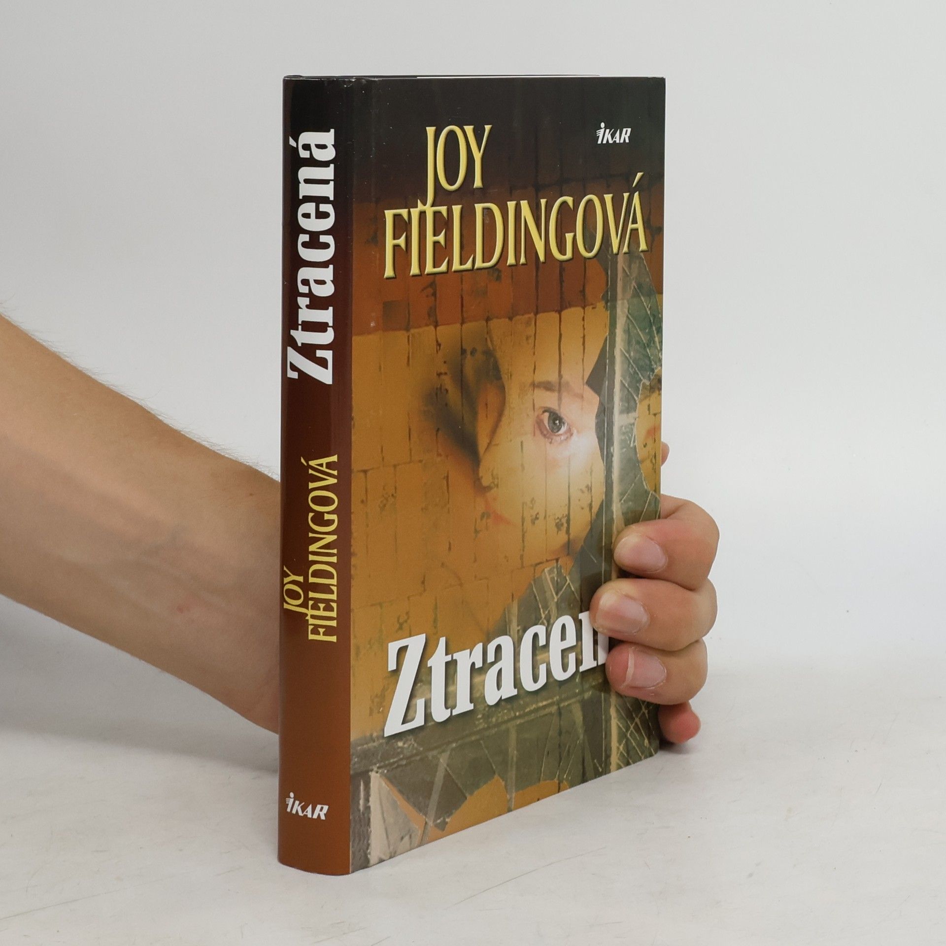 Joy Fielding Ztracená