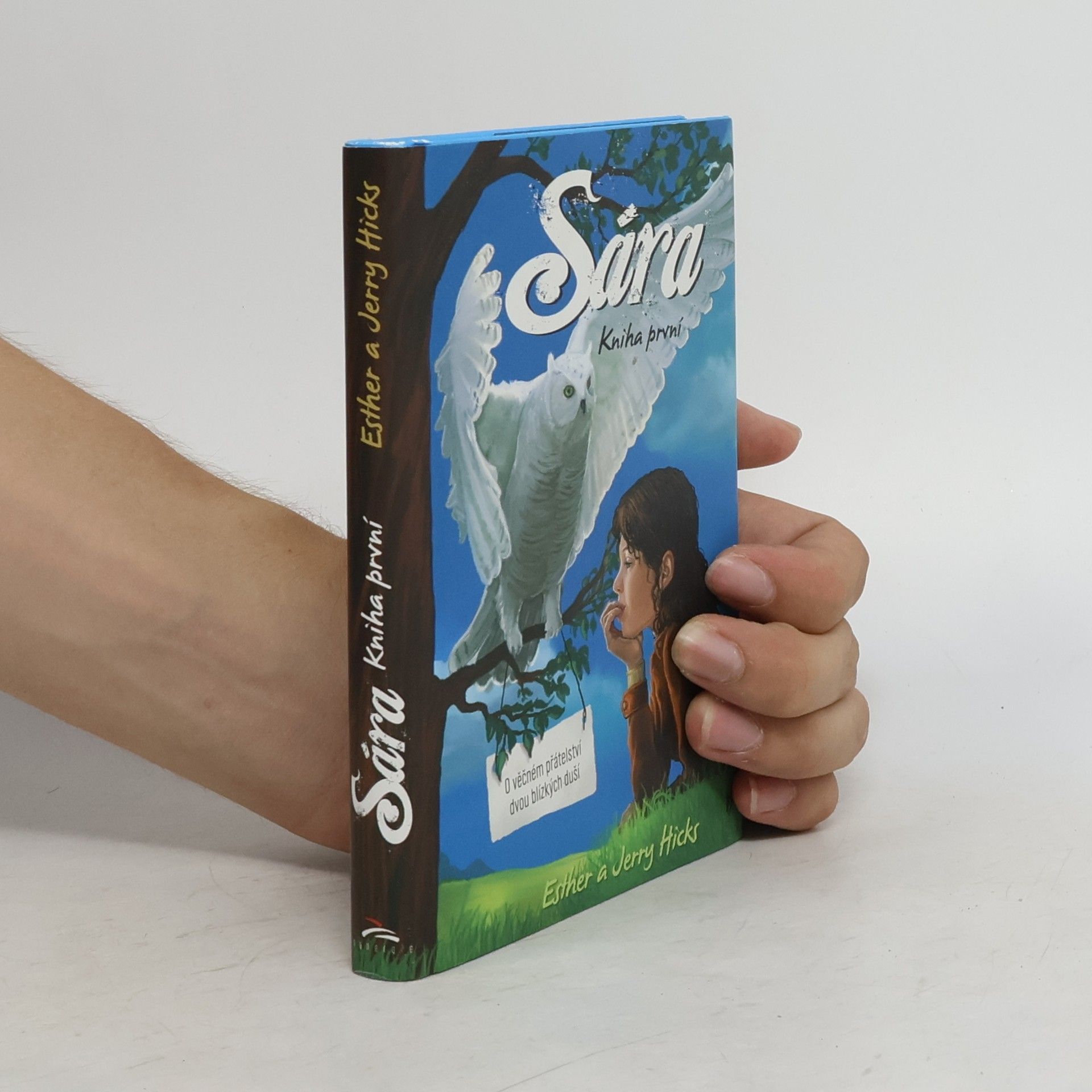 Esther Hicks Sára. Kniha první, O věčném přátelství dvou blízkých duší