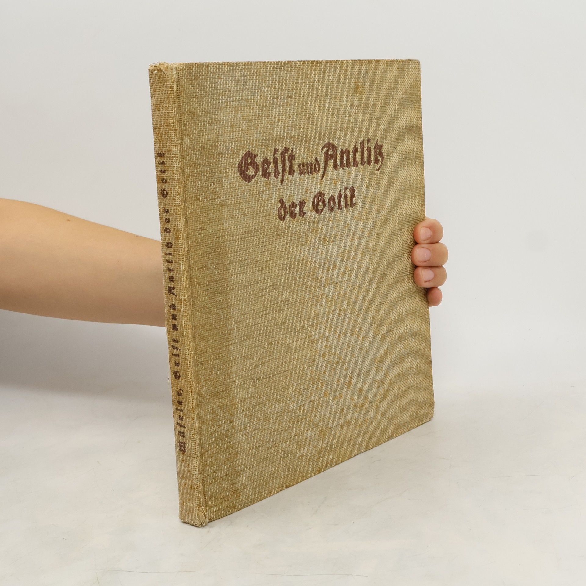 Collective Geist und Antlitz der Gotik