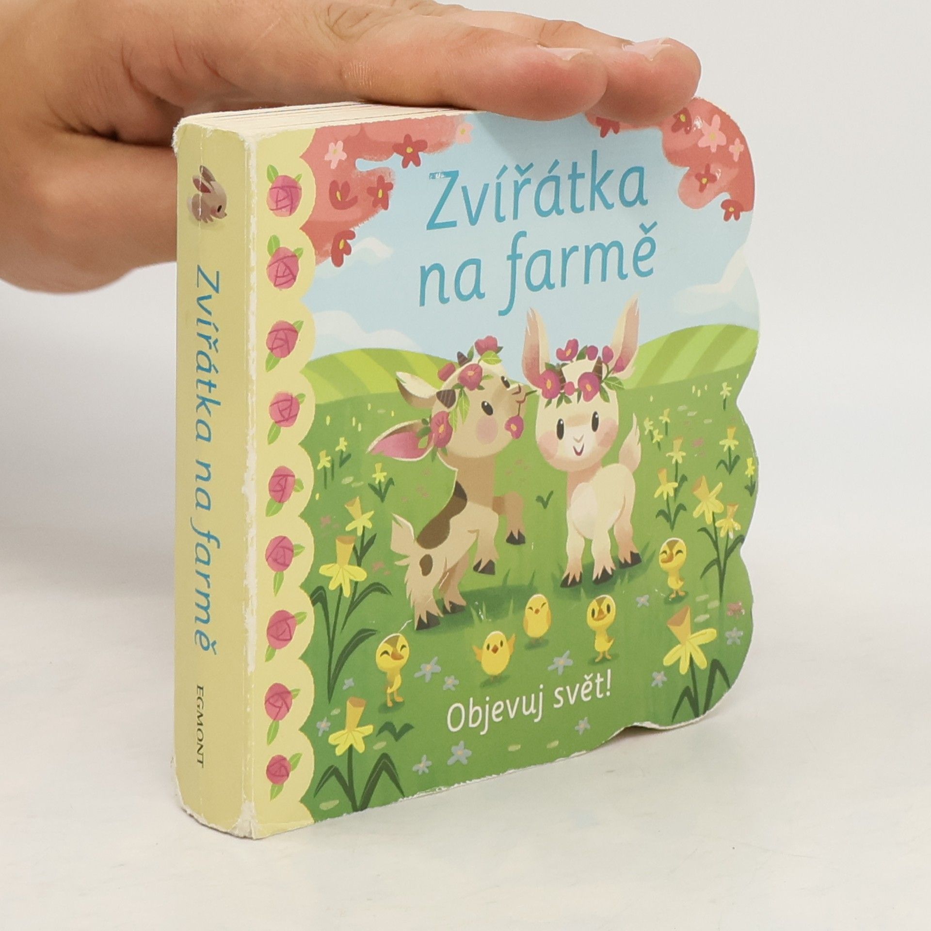 Ginger Swift Zvířátka na farmě : Objevuj svět!