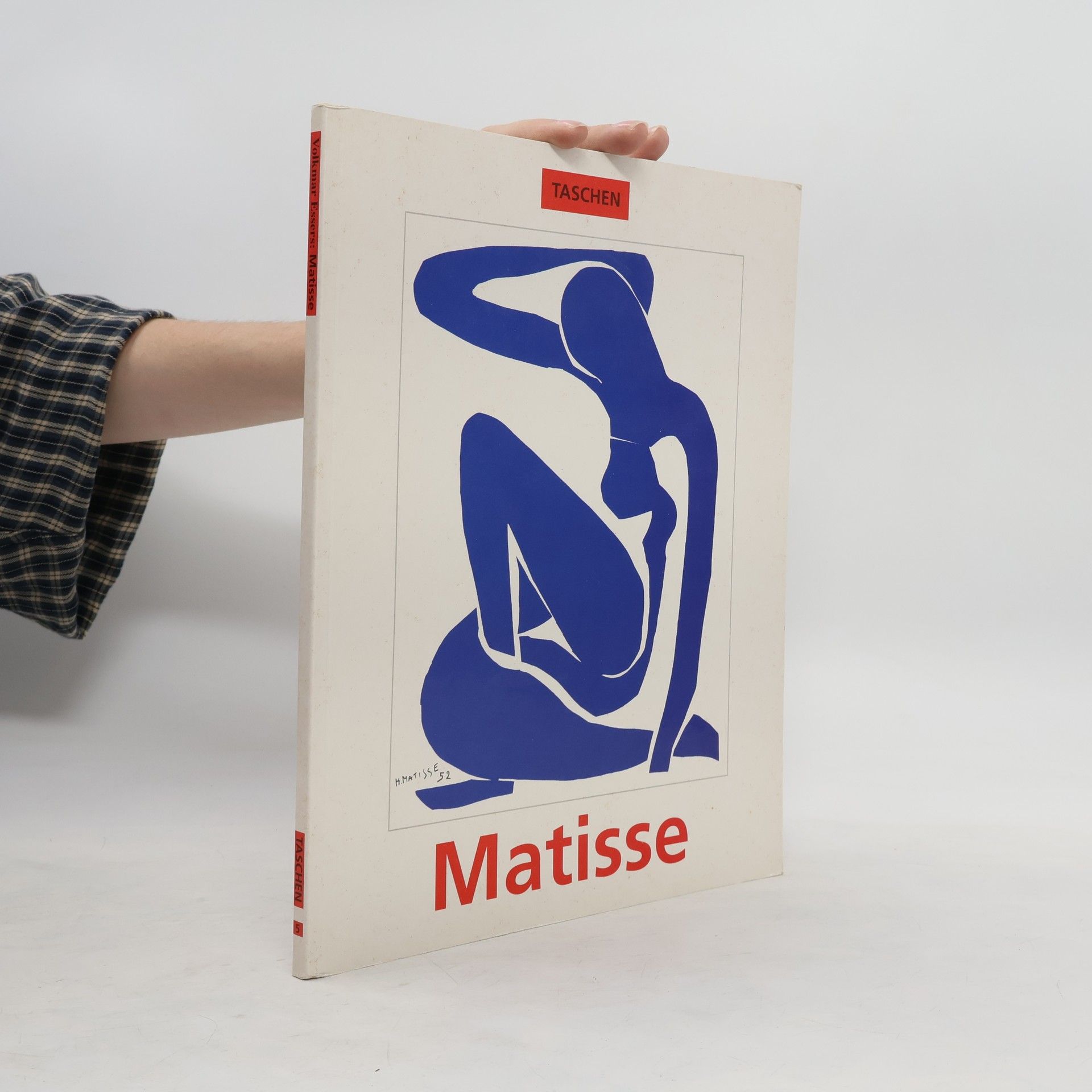 Henri Matisse Meister der Farbe
