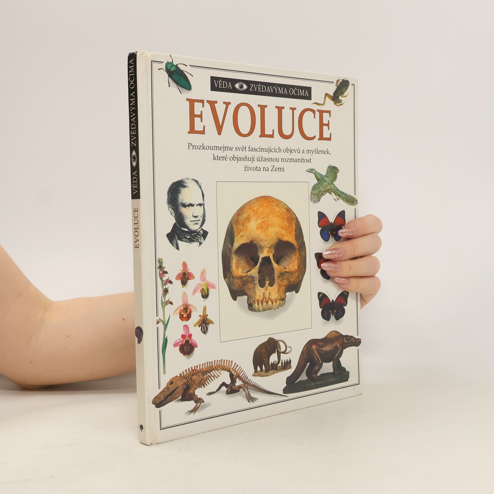 Linda Gamlin Evoluce