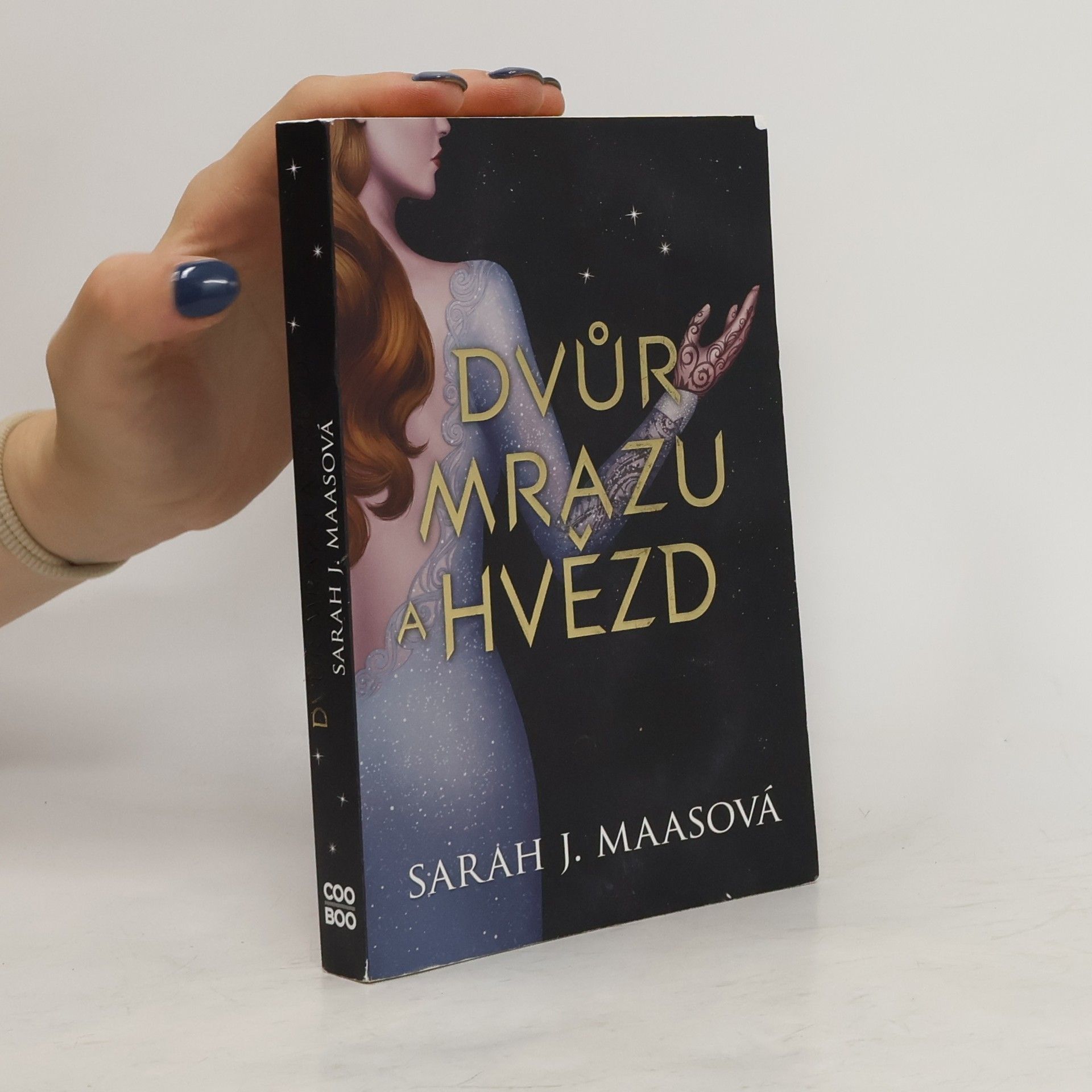 Sarah J. Maas Dvůr mrazu a hvězd