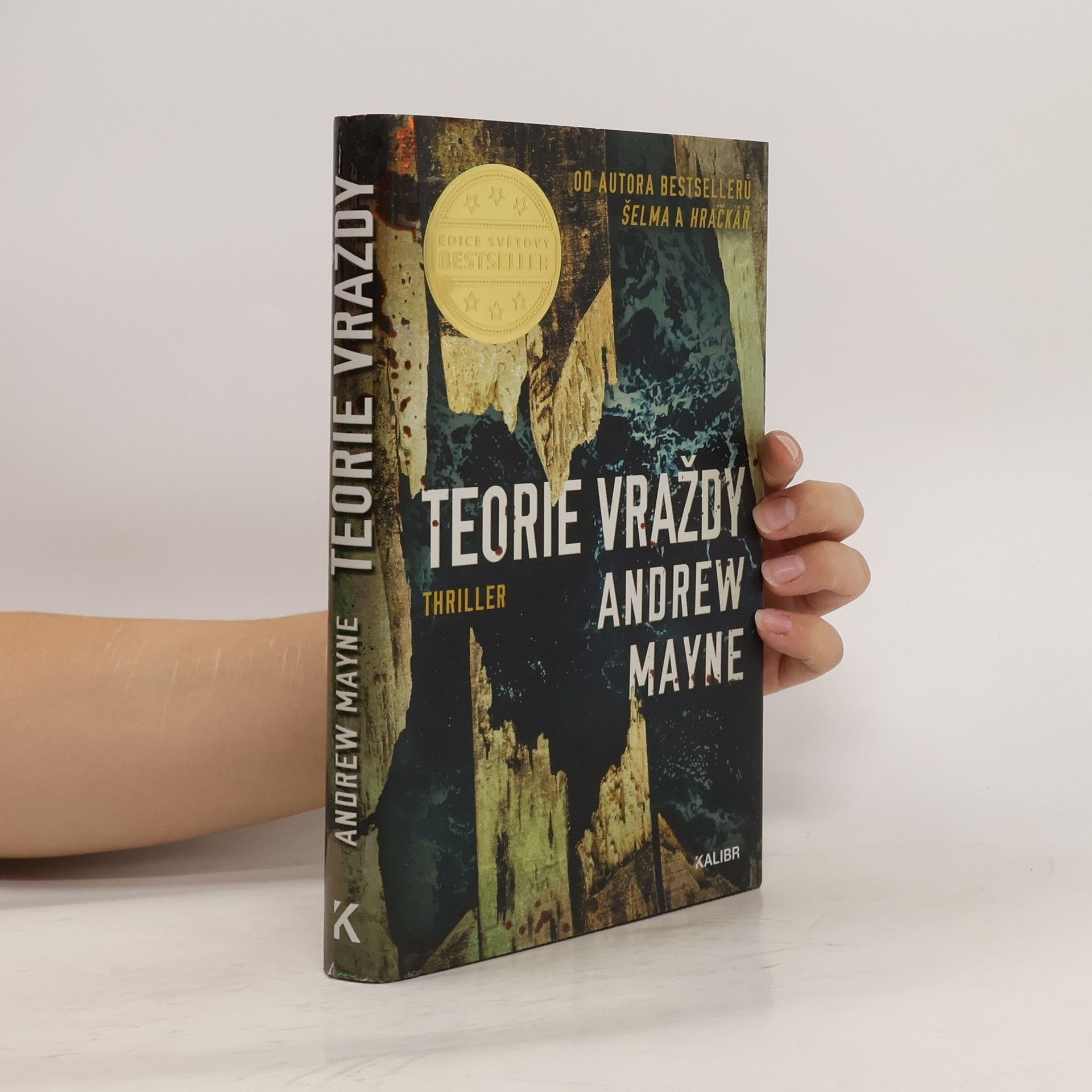 Andrew Mayne Teorie vraždy
