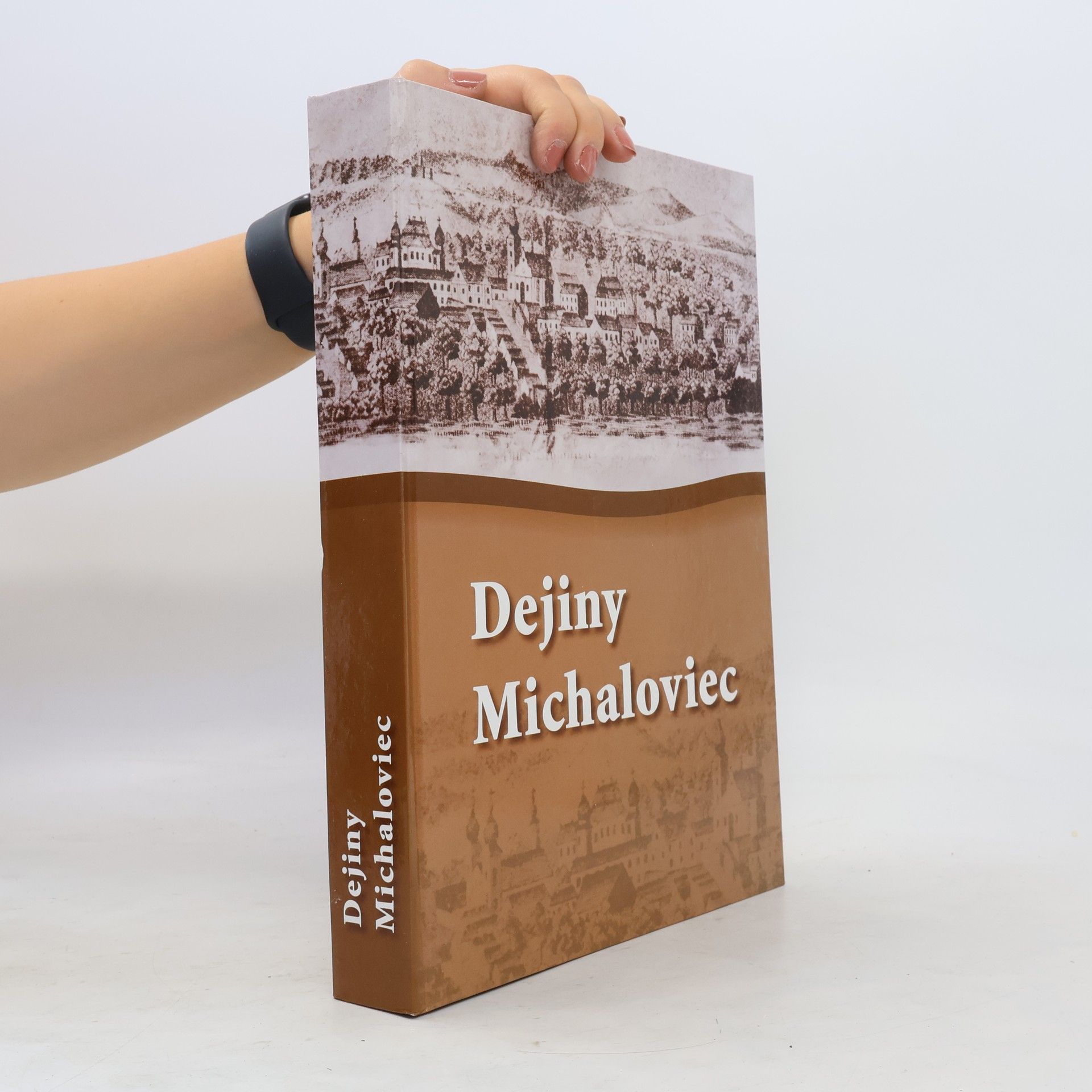 Vladimír Sekela Dejiny Michaloviec