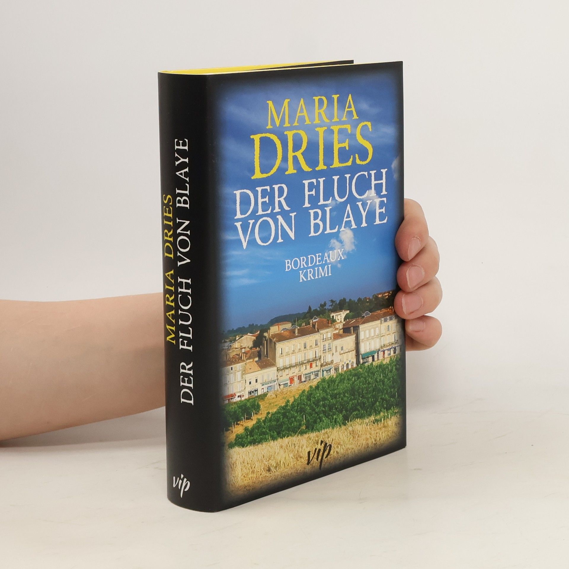 Maria Dries Der Fluch von Blaye