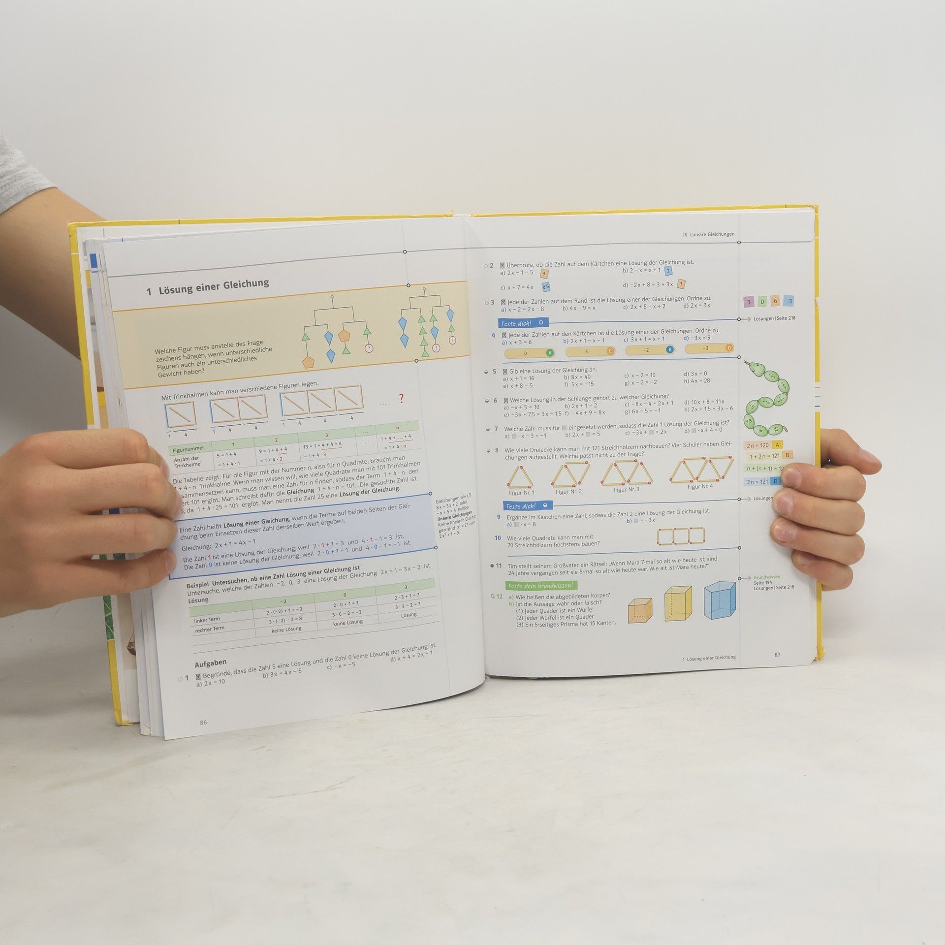 Lambacher Schweizer - Mathematik für Gymnasien