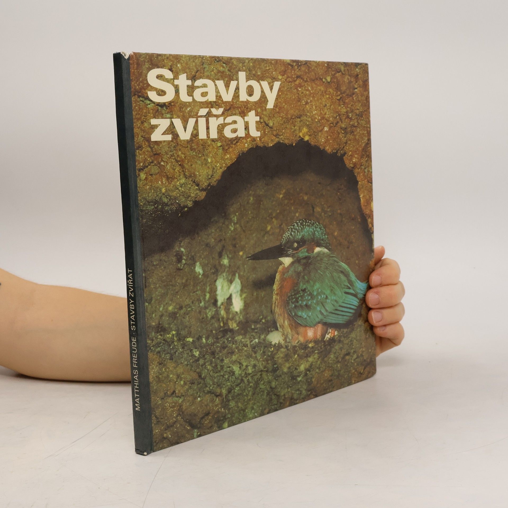Matthias Freude Stavby zvířat