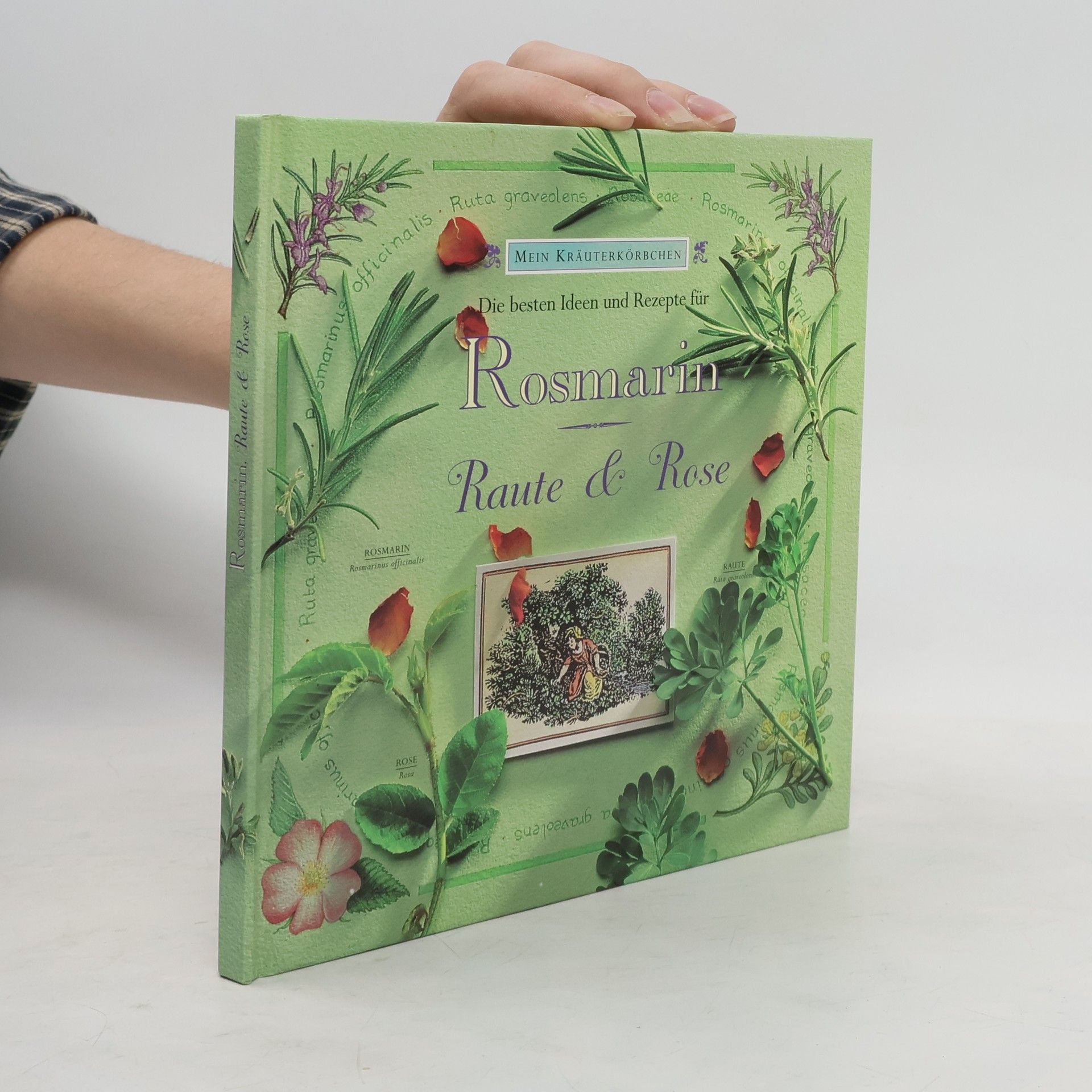 Gloria Nicol Die besten Ideen und Rezepte für Rosmarin, Raute & Rose