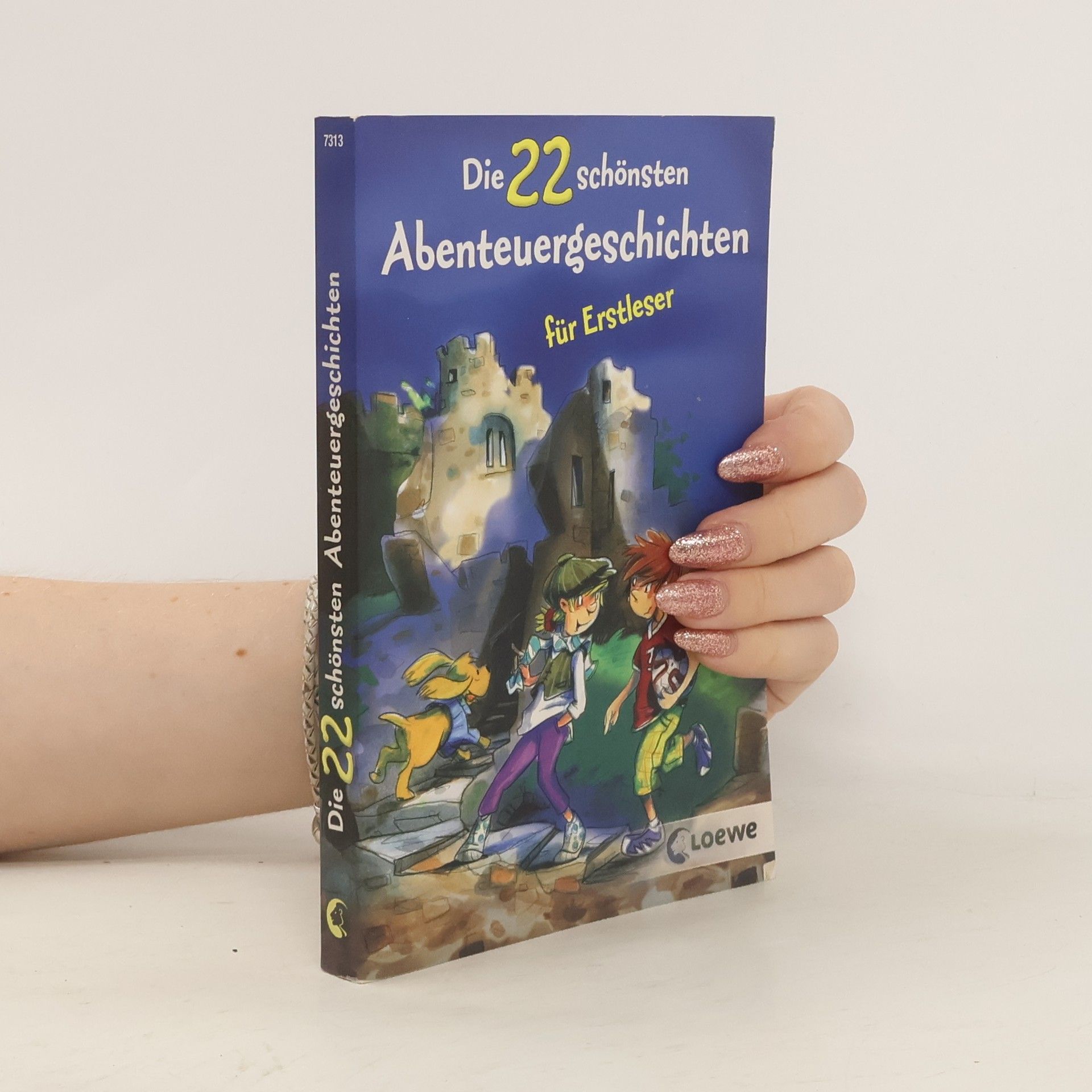 Kolektiv autorů Die 22 schönsten Abenteuergeschichten für Erstleser
