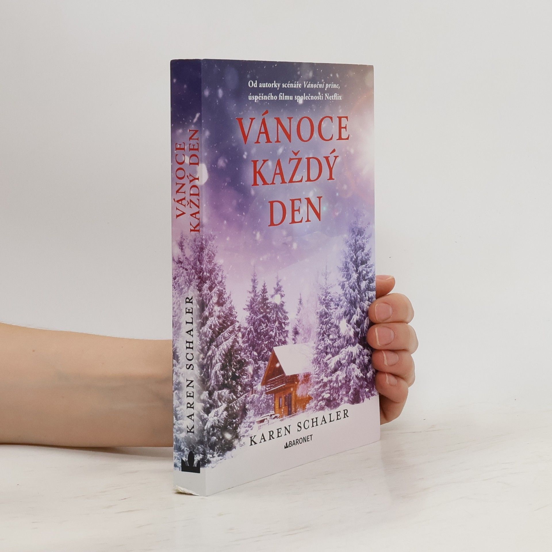Karen Schaler Vánoce každý den