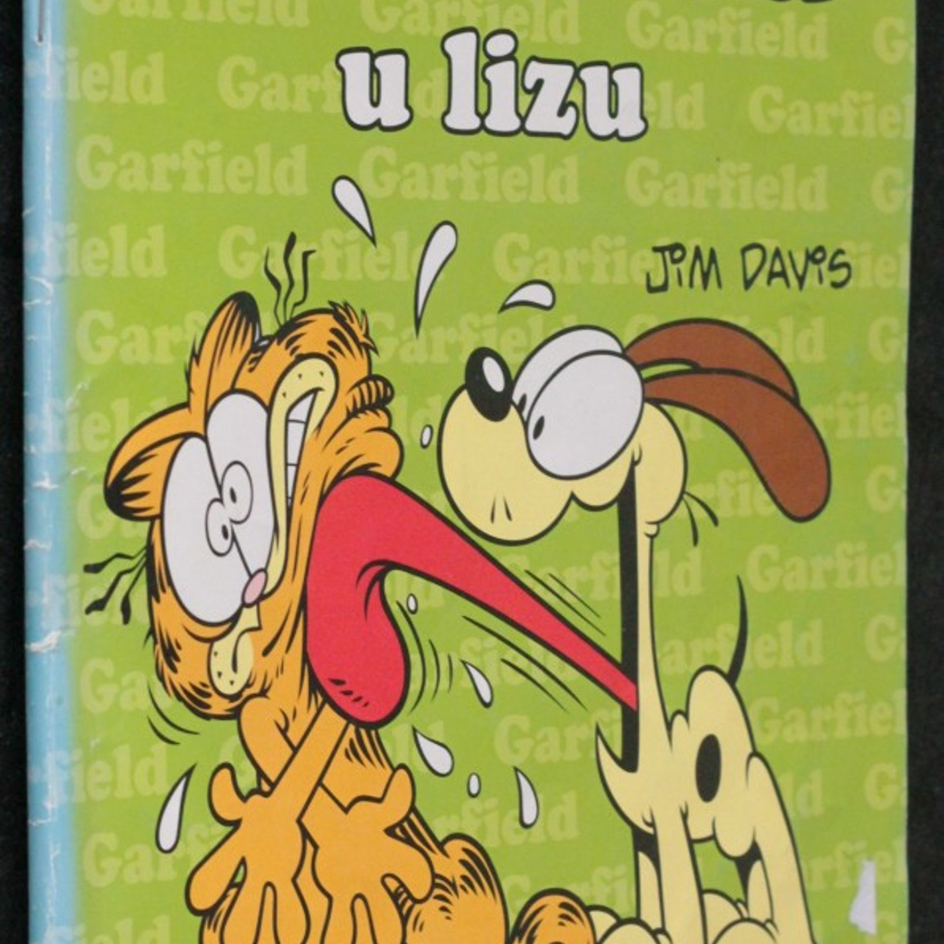 Jim Davis Garfield u lizu