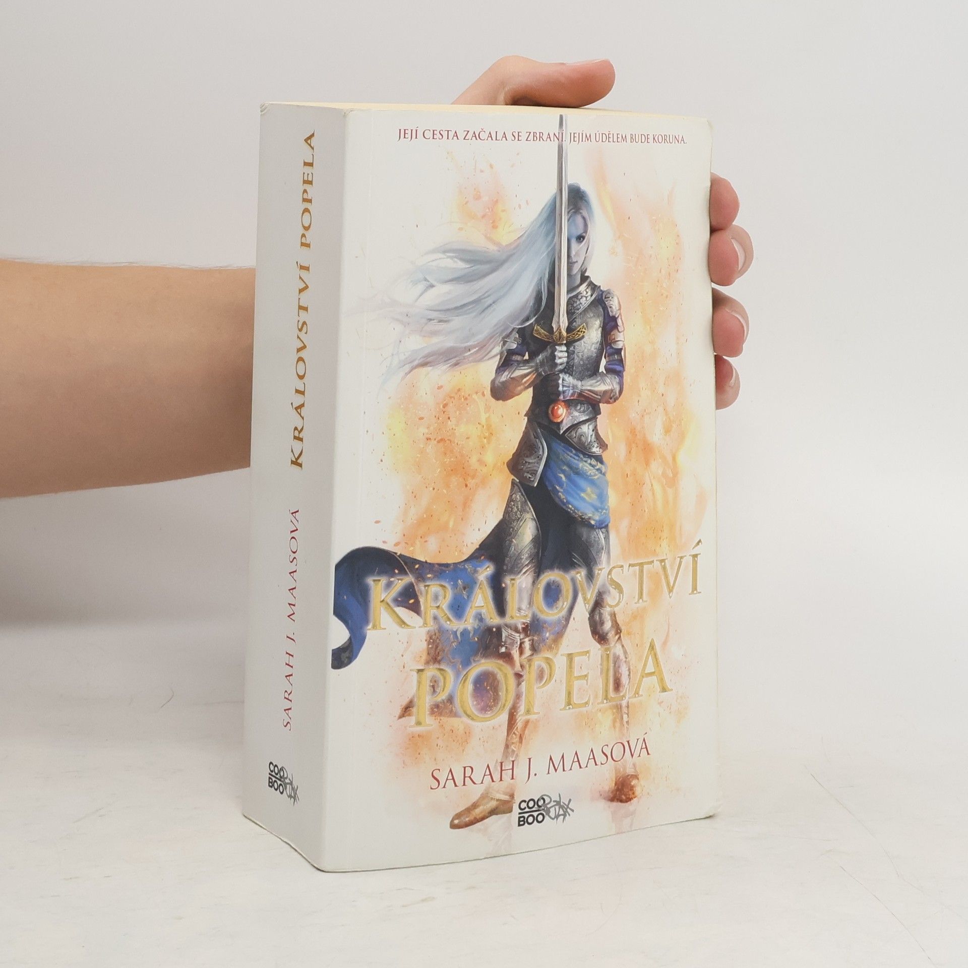 Sarah J. Maas Království popela